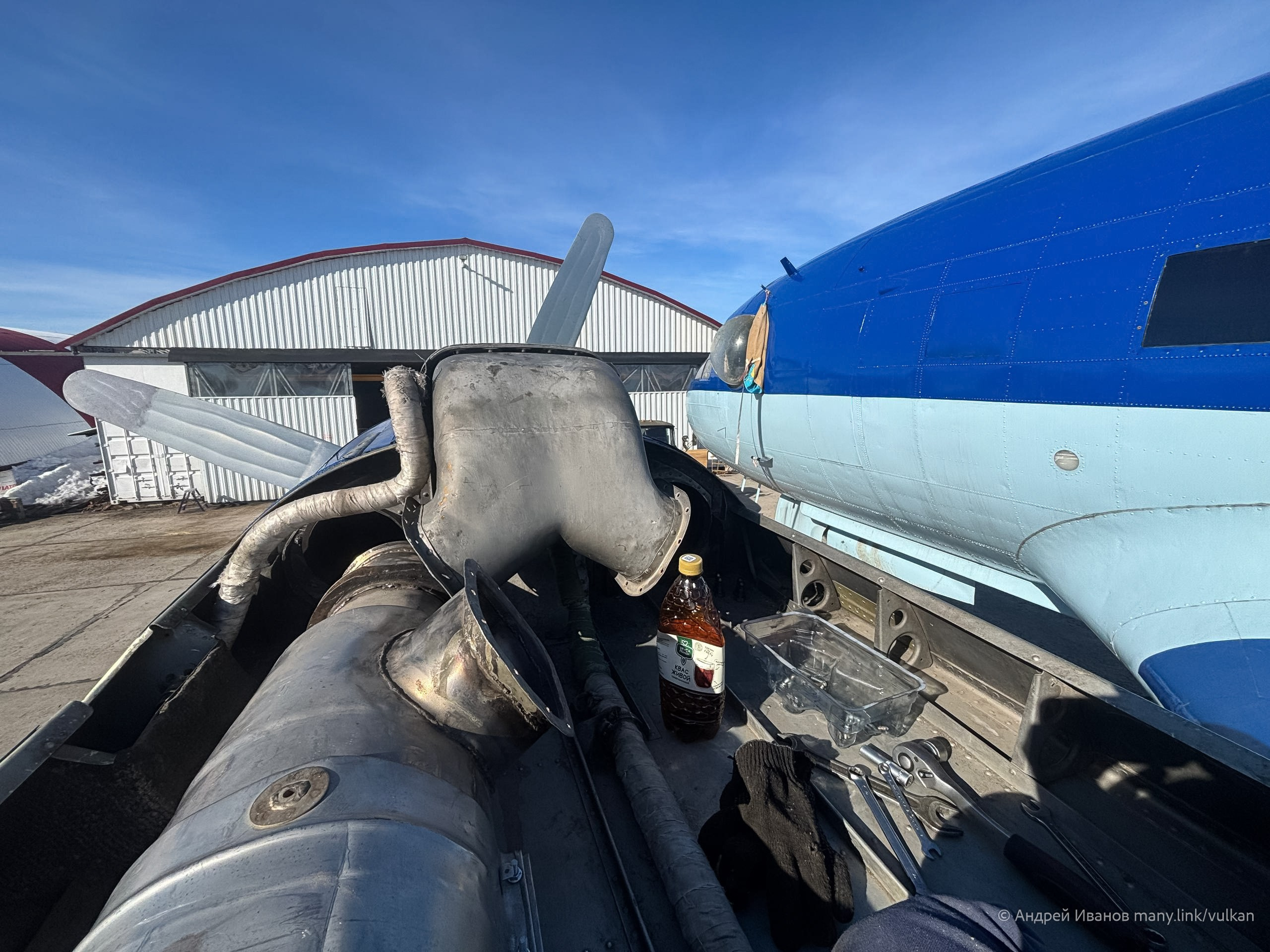 Ил-14Т «Голубая Мечта» (2026 г.). Фотоальбом показывающий увлекательный мир авиации и мир медведей Андрея Иванова