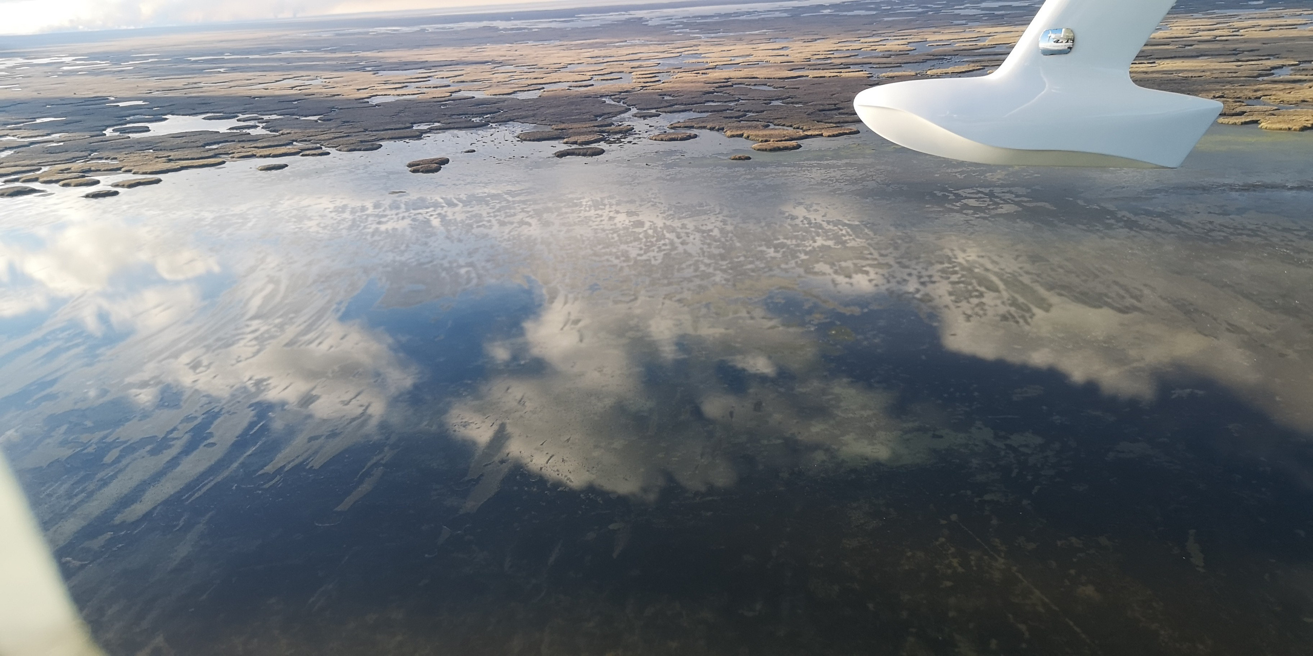 Каспийское море (наука на Ла-8) (2021 г.). Фотоальбом показывающий увлекательный мир авиации и мир медведей Андрея Иванова