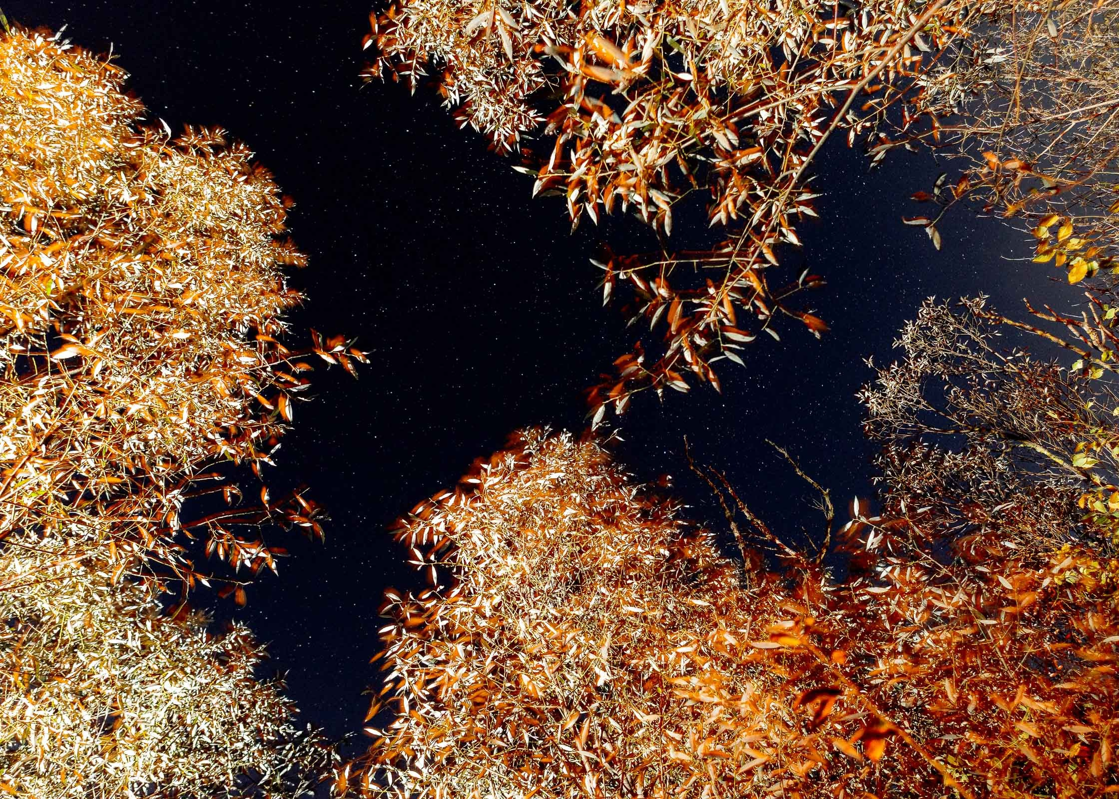 Незаконченный Проект