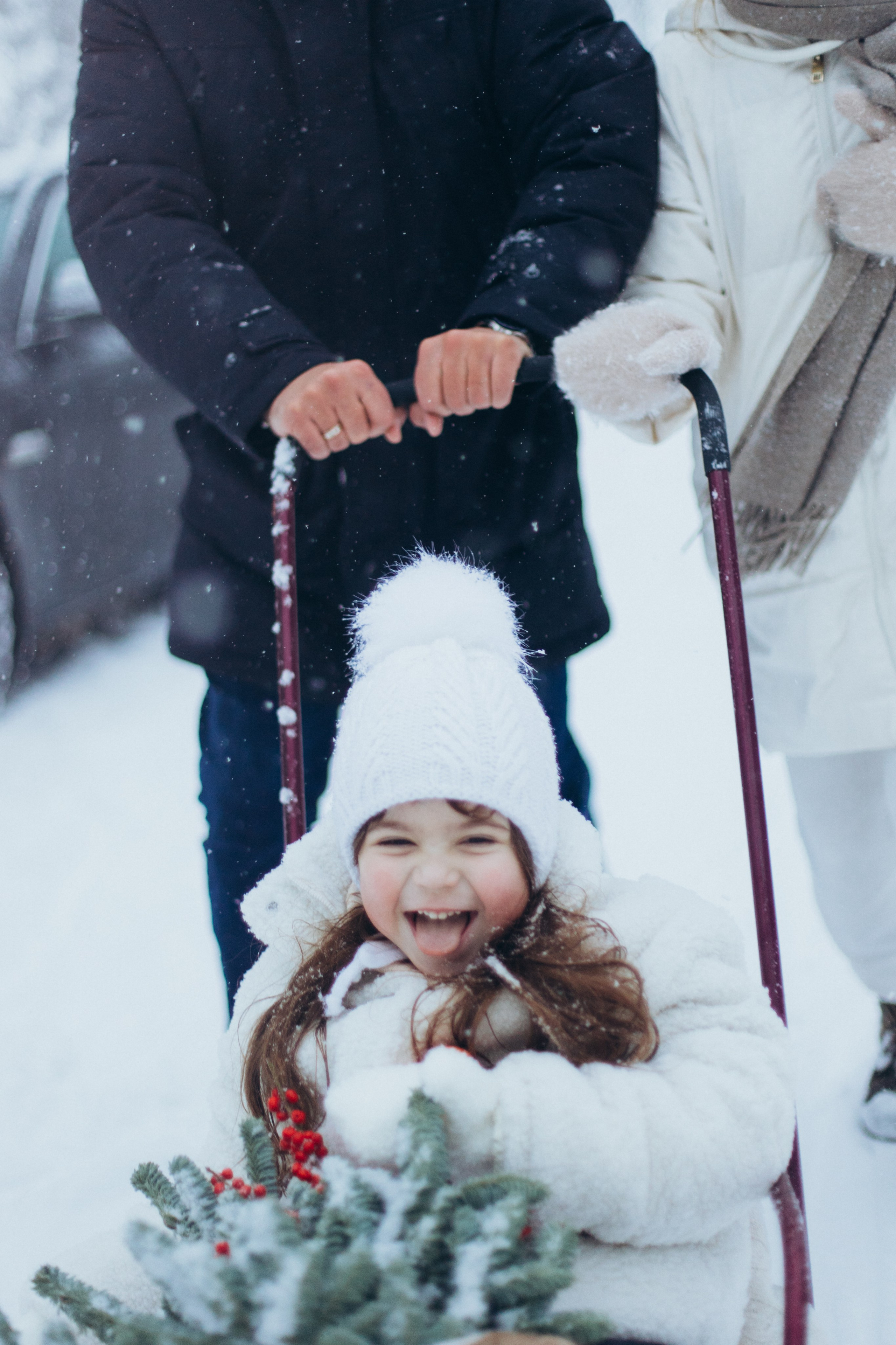 Зимняя история