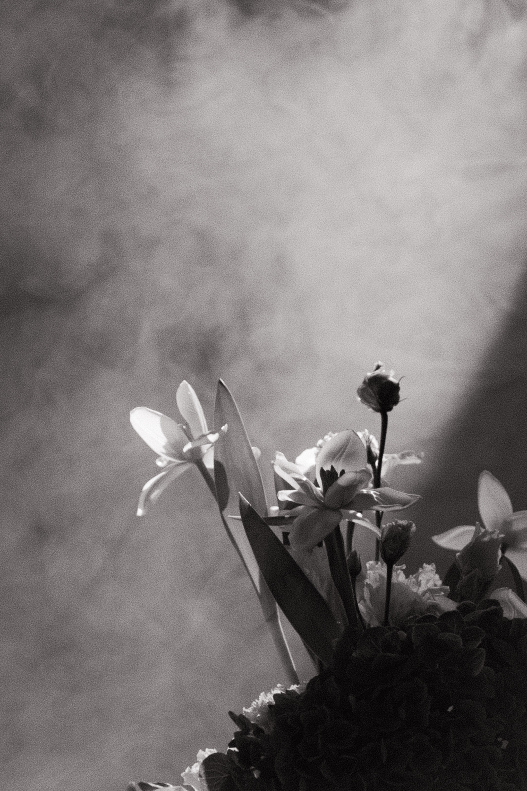 Иван и Юлия. Главная