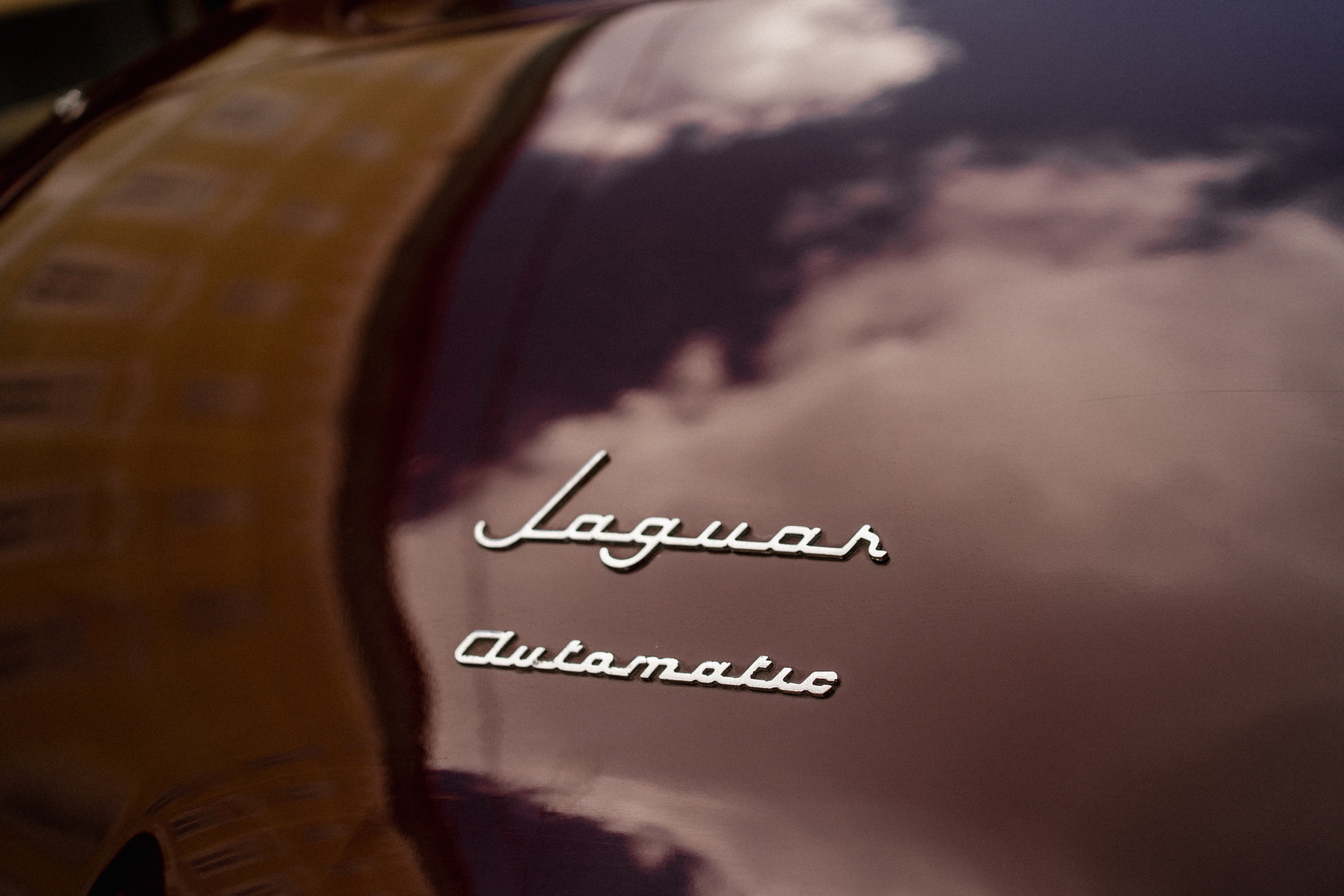 Aleksandr & Alina. Dolce_wedding