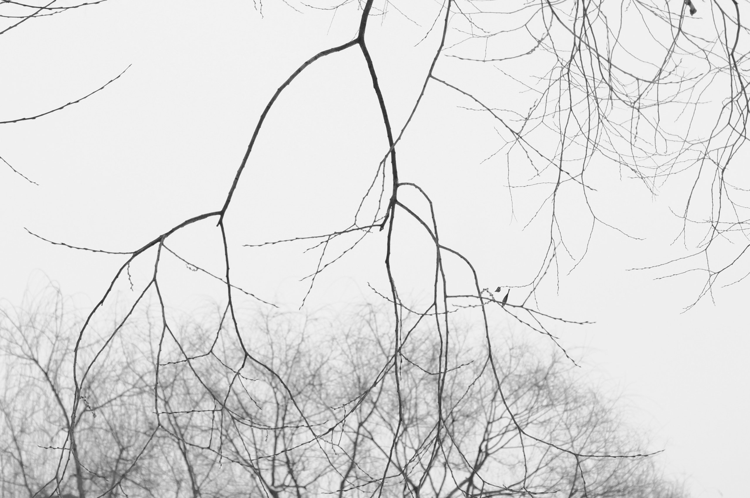 Город. Глубина и Свет/ Depth & Light. Авторская фотография с характером в Москве. Ana Sur
