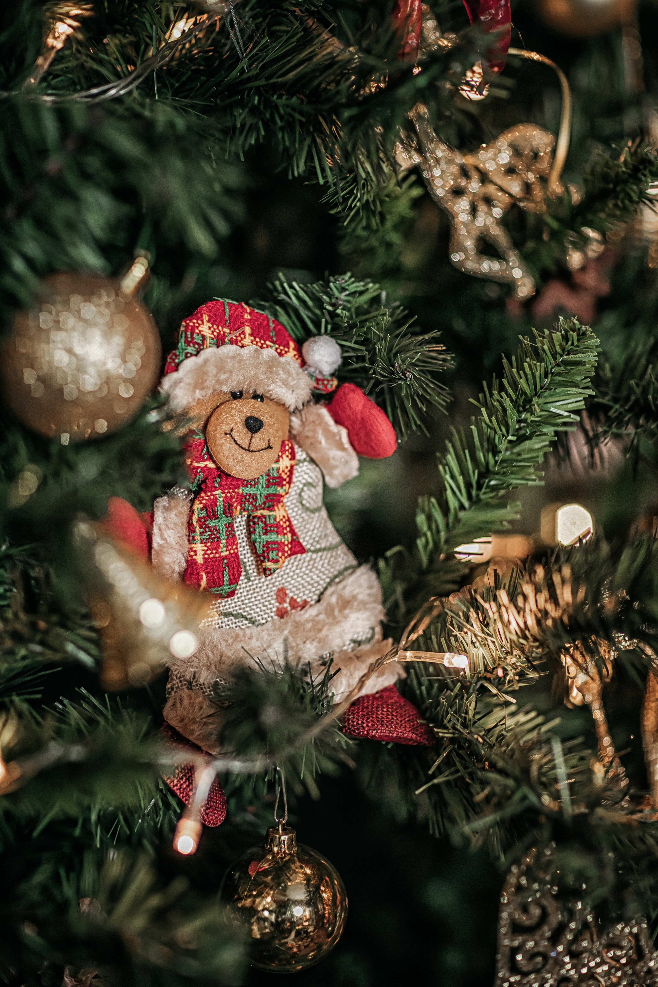 Письмо Деду Морозу. Фотограф в Канске Нина Пуряева