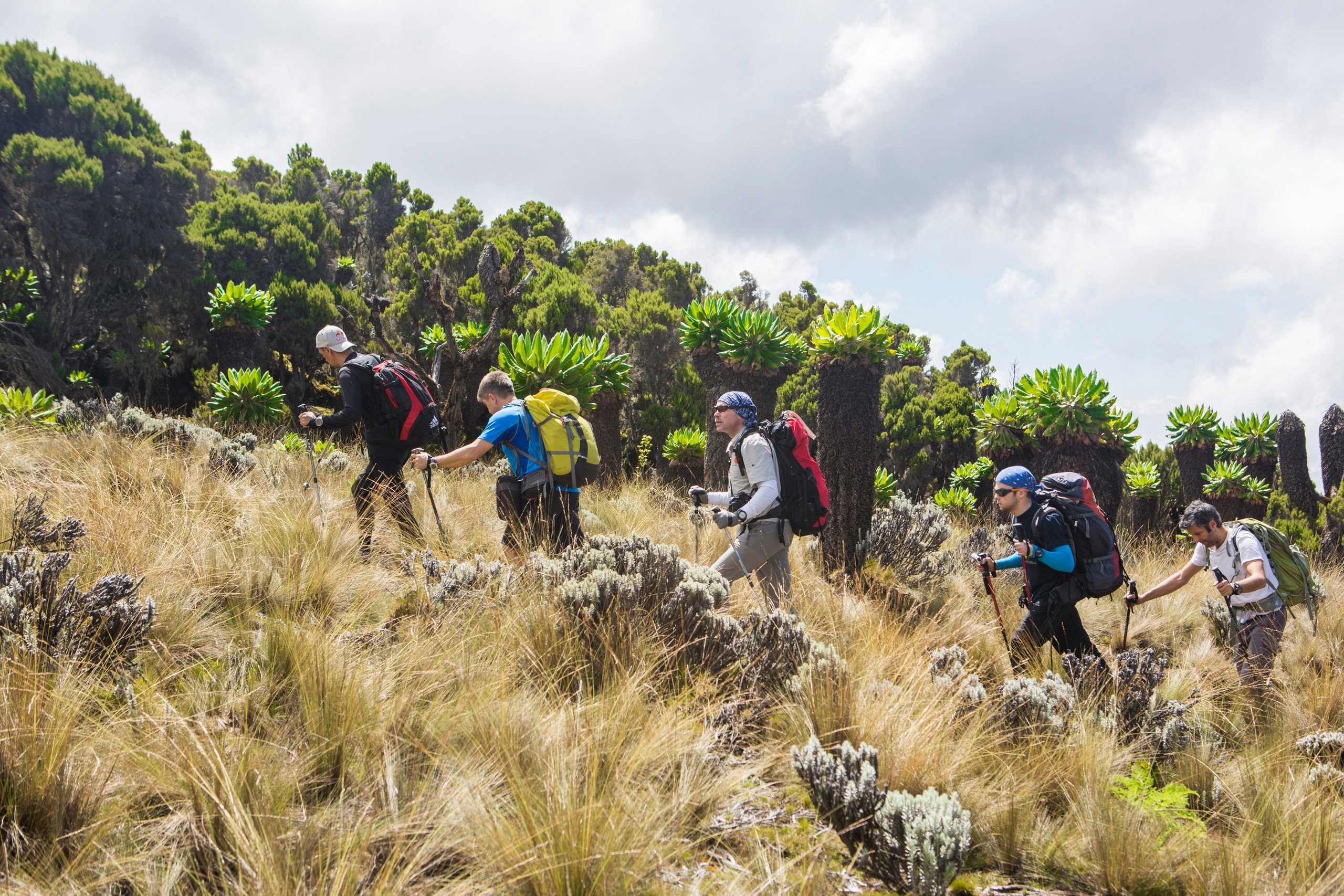 Expeditions BASE. Creative Photographer Denis Klero