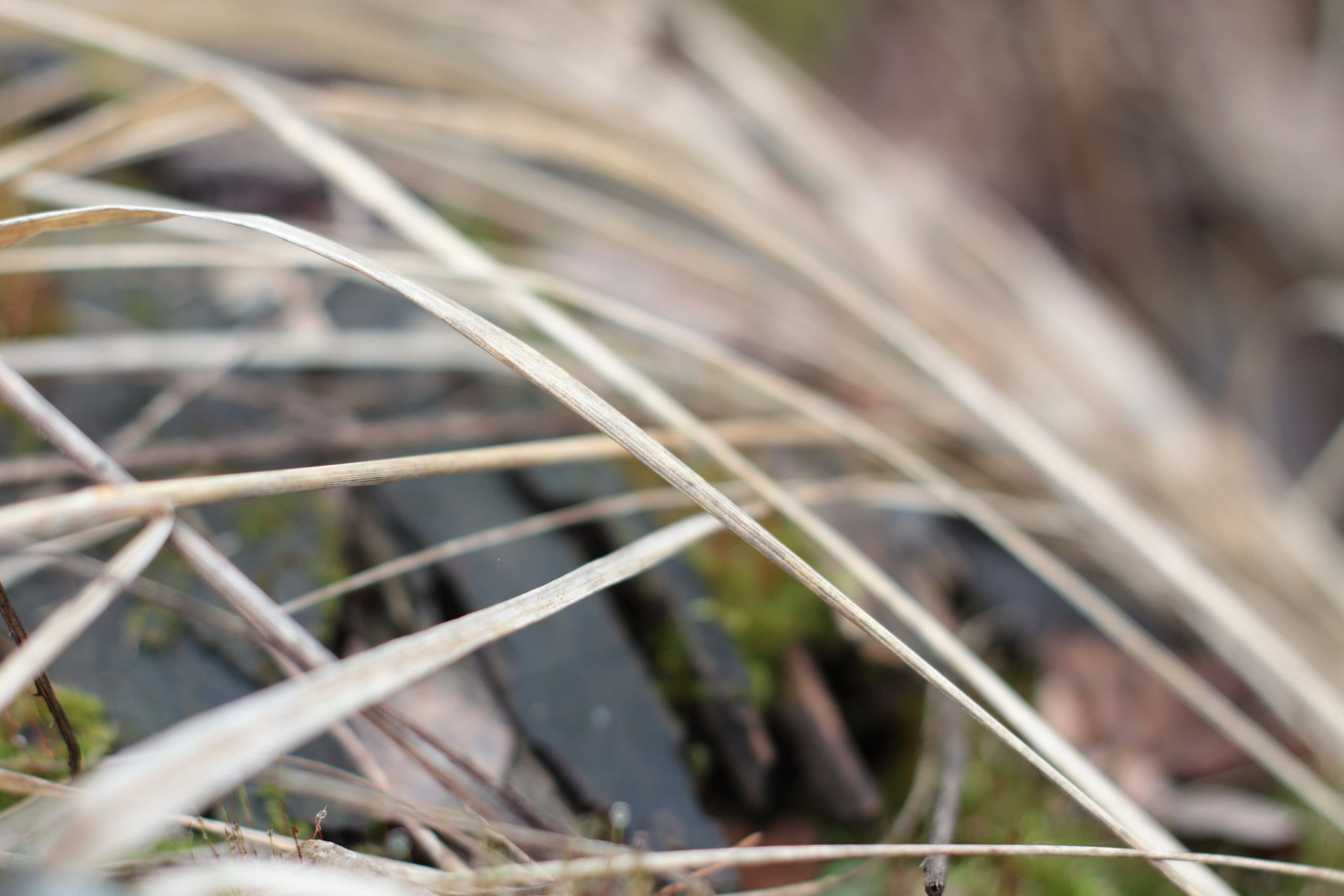 Старое природное, отбирала Katamount (Катерина Горохова). Главная