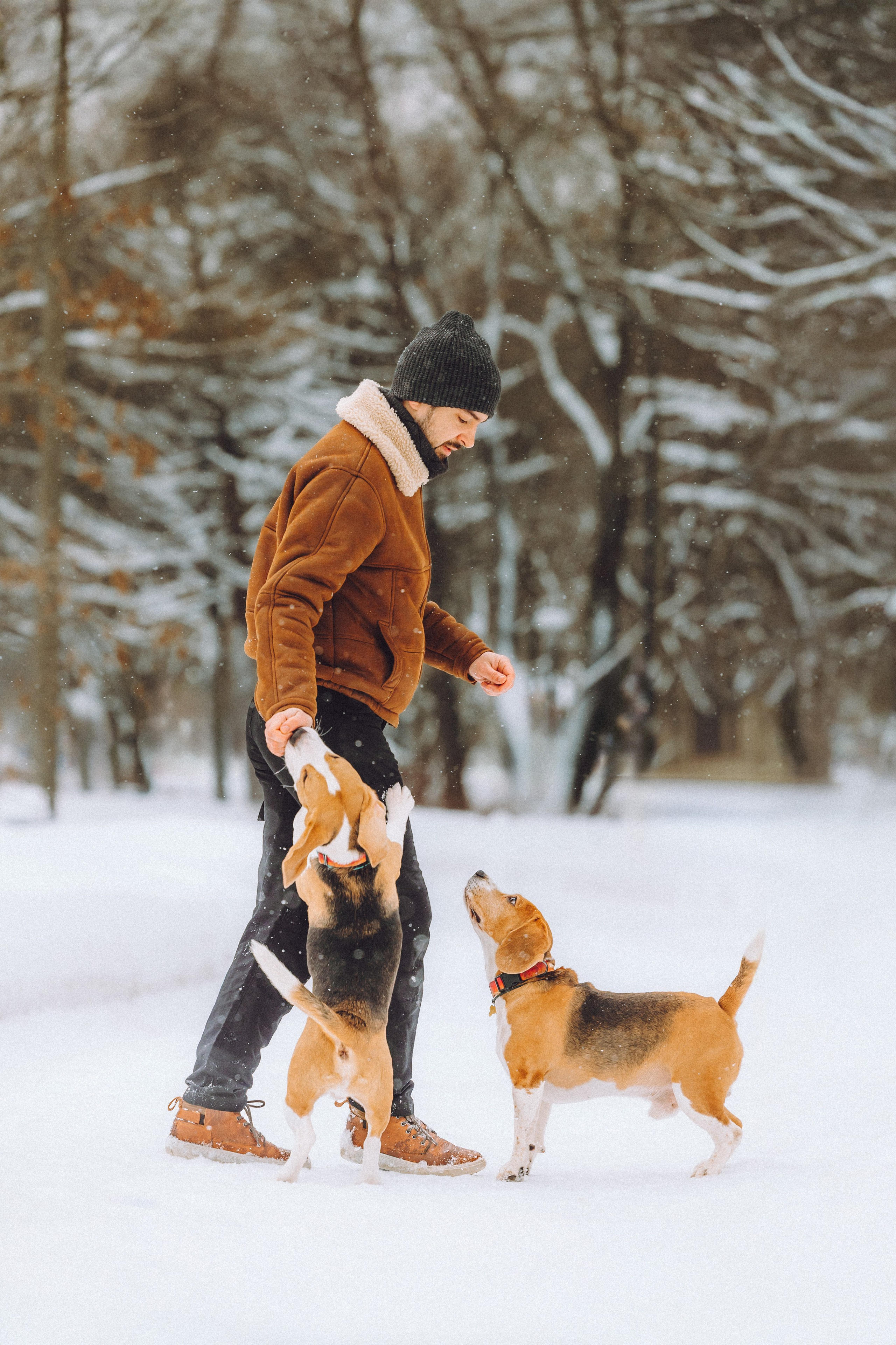 Роман, Портер и Коррес