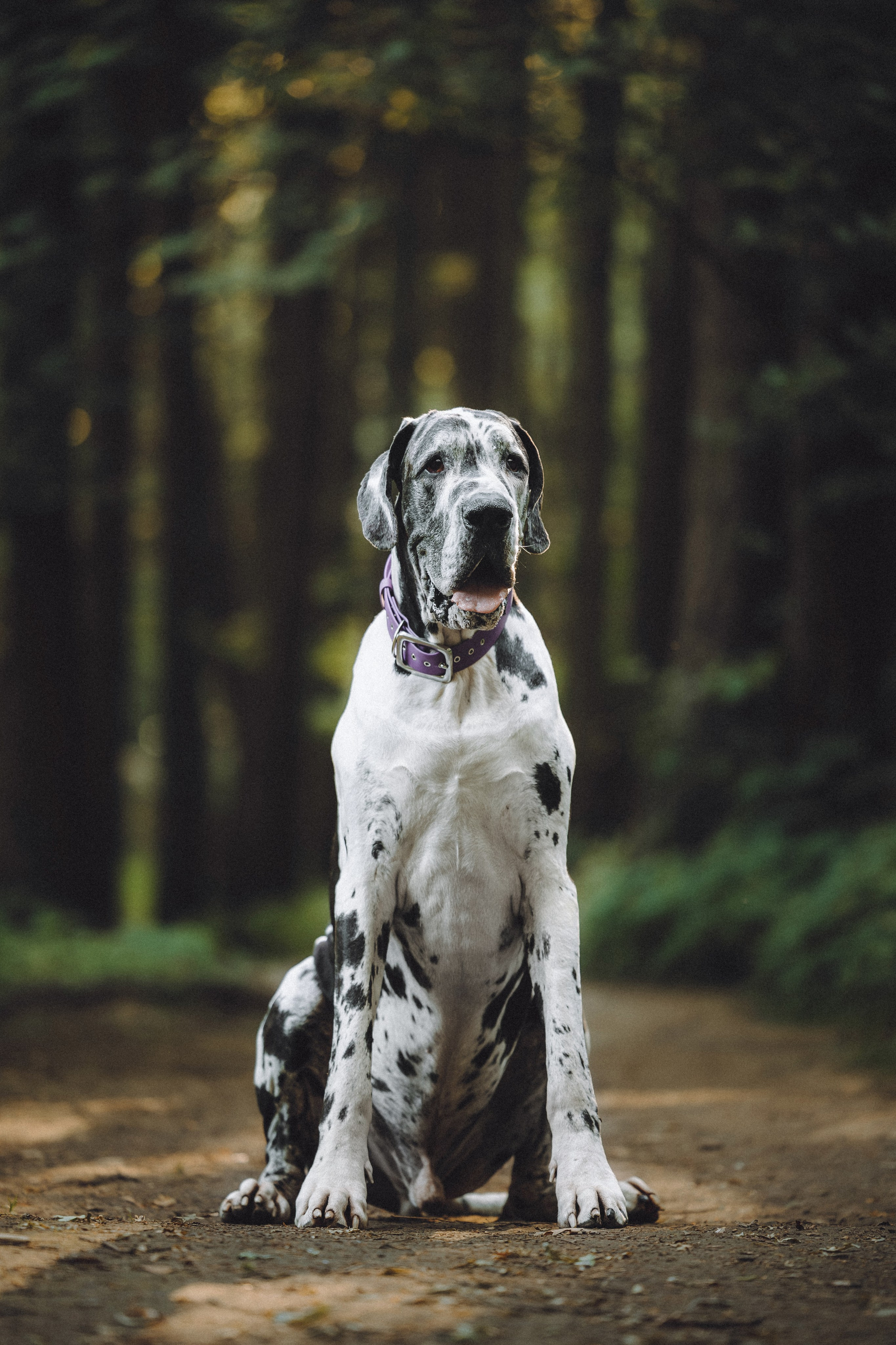 Катя, Андрей, Гектор, Ричи, Тортик и Трой