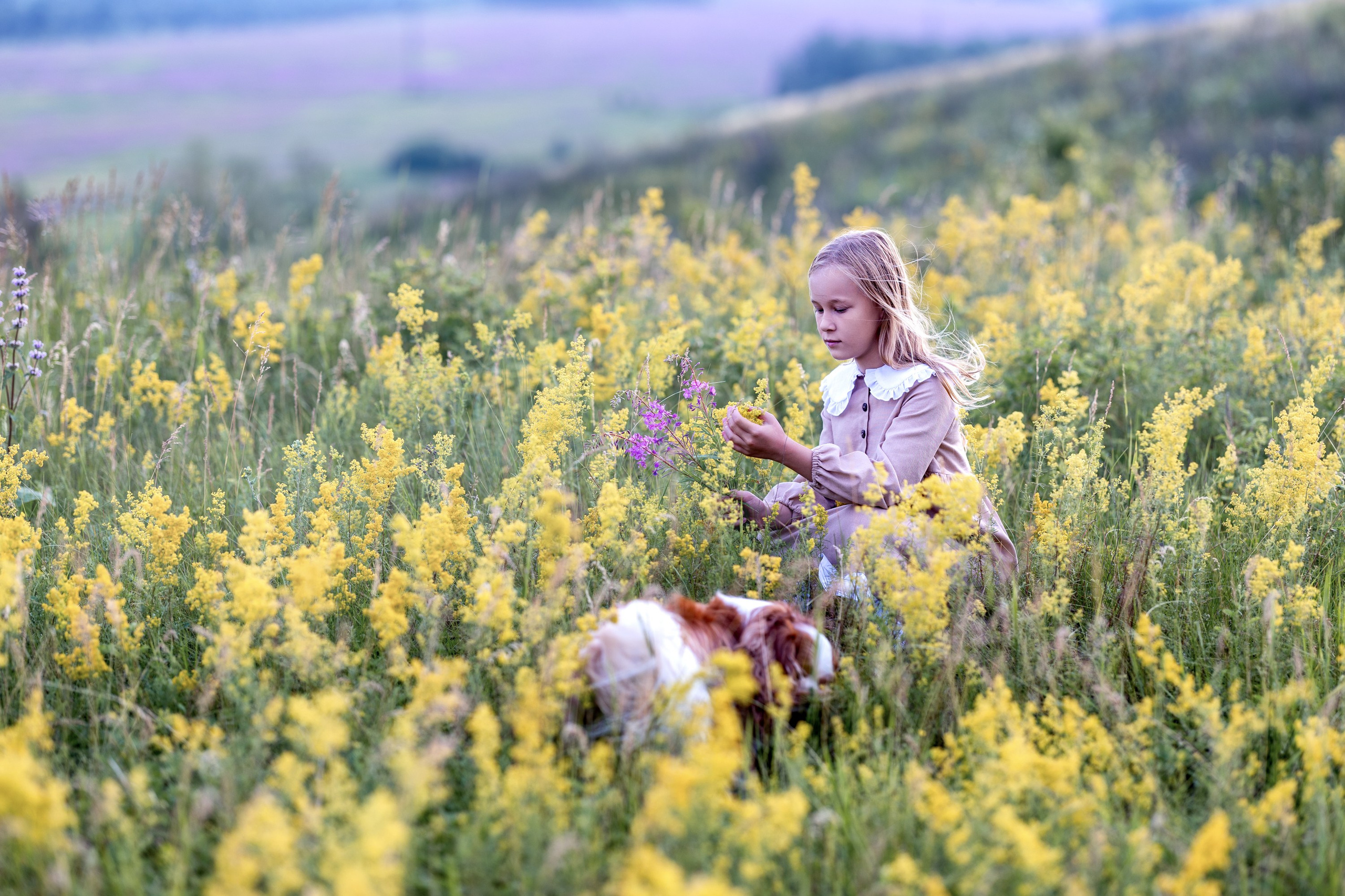 Цветущие поля. Семейный и детский фотограф в Красноярске, Дивногорцева Светлана