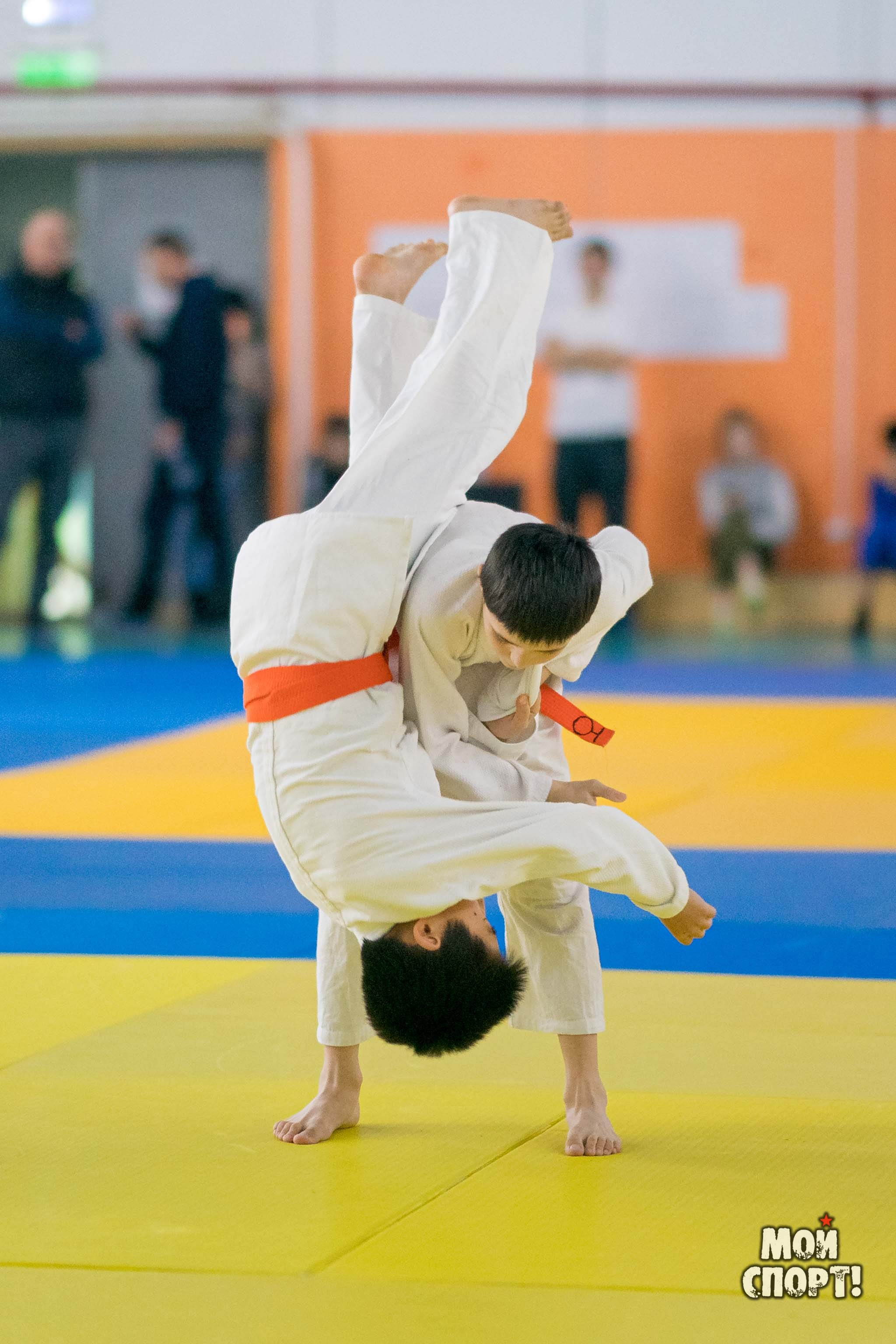 Кубок и первенство РС (Я) по дзюдо. Студия «Мой Спорт!» — все о спорте в Якутии