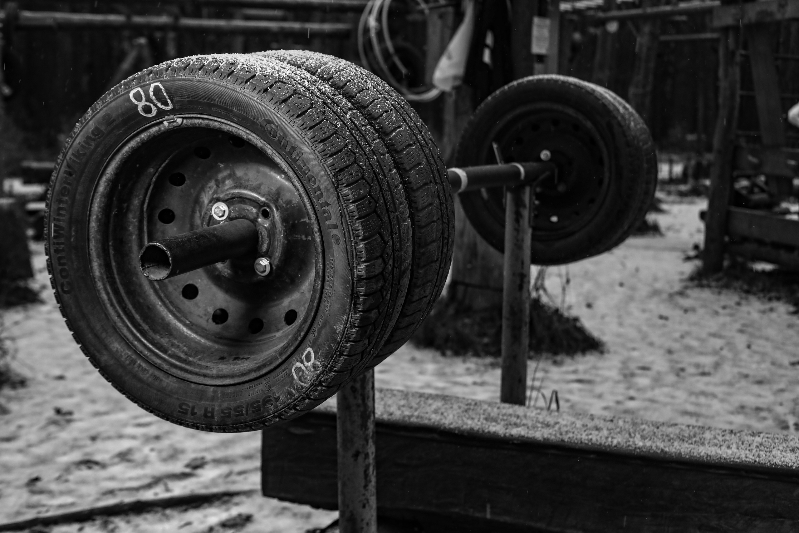 Качалка в лесу — 2022. Стас Привалов