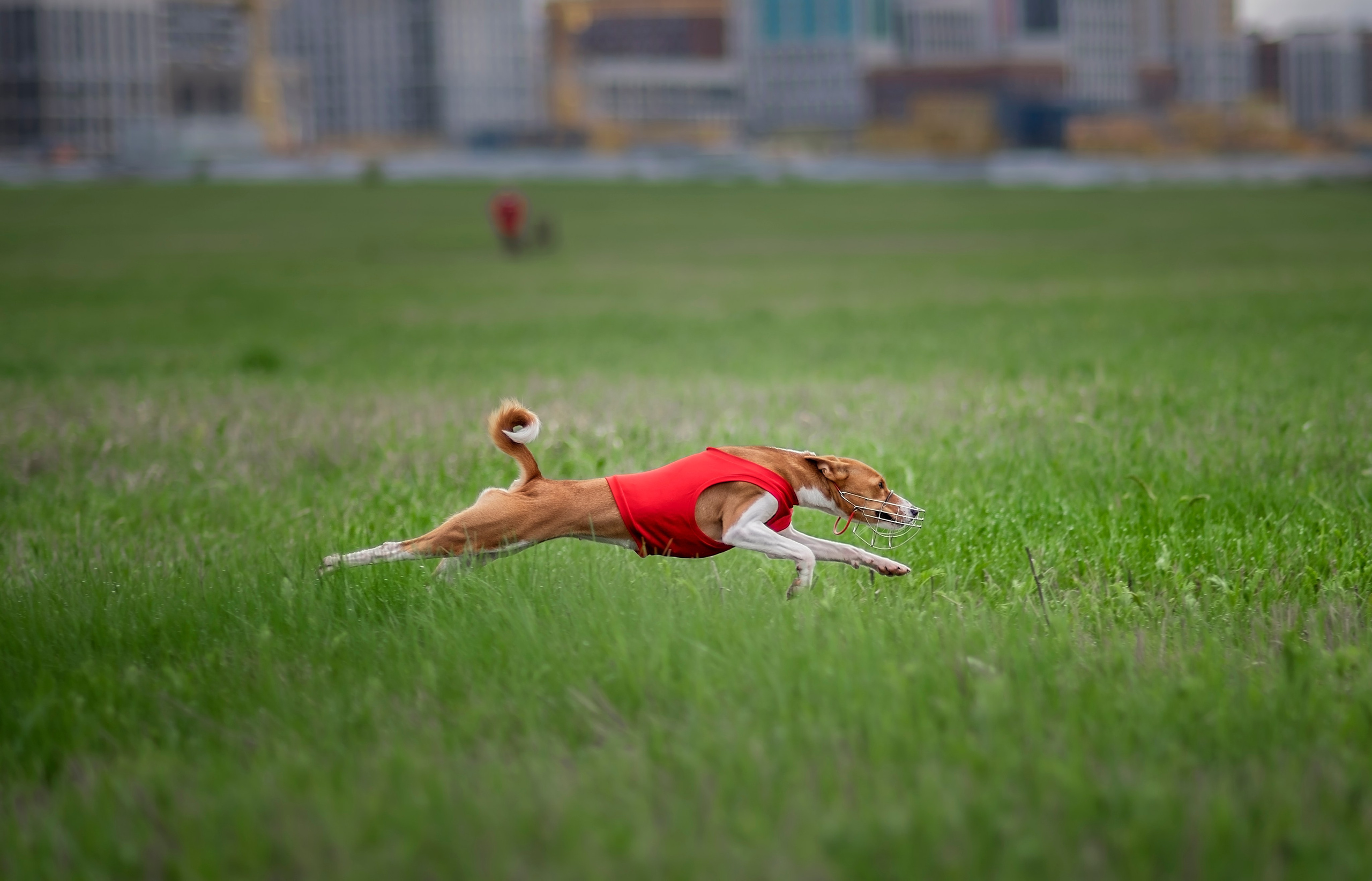 Курсинг. Фотограф анималист Ставрополь Яна Кудлай