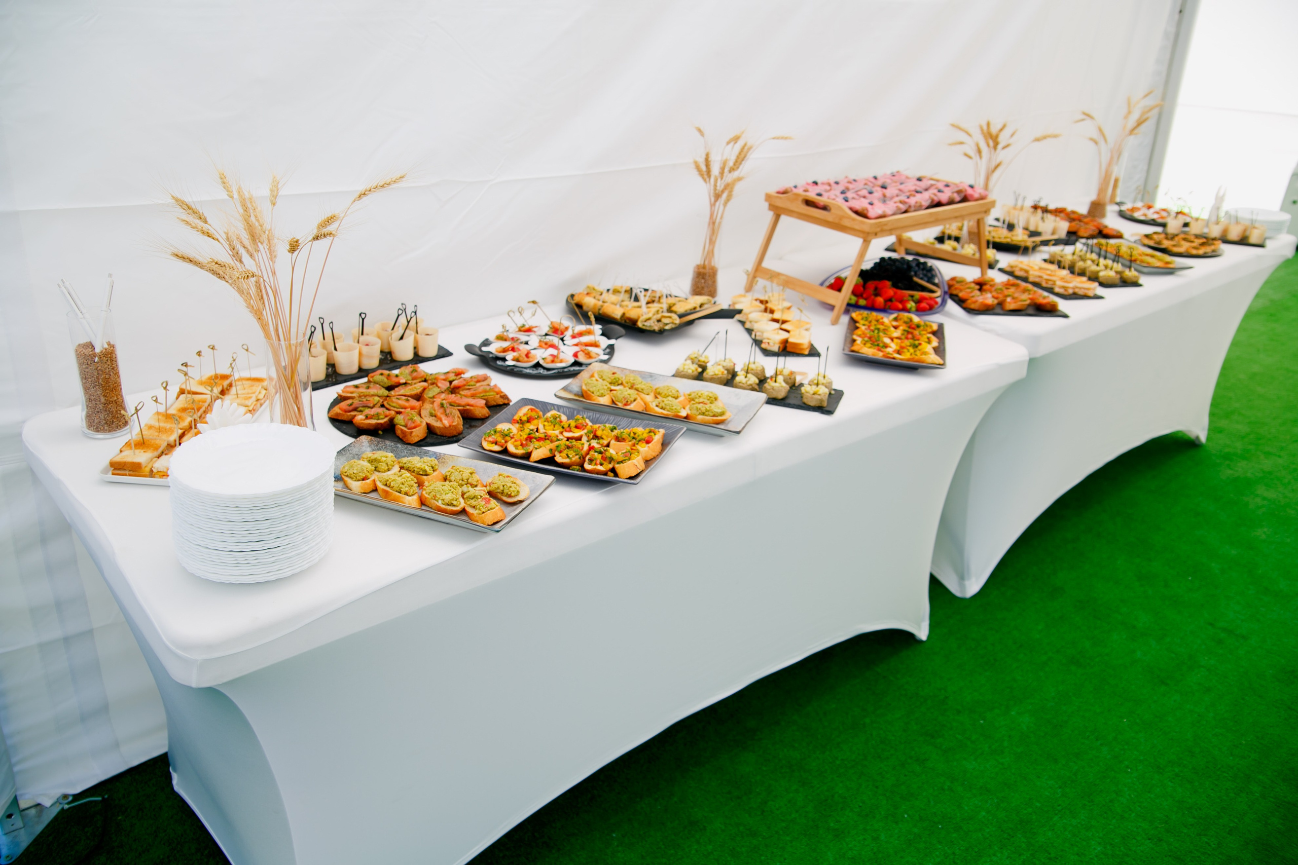 Агротерра. Фотограф Яков Поспехов