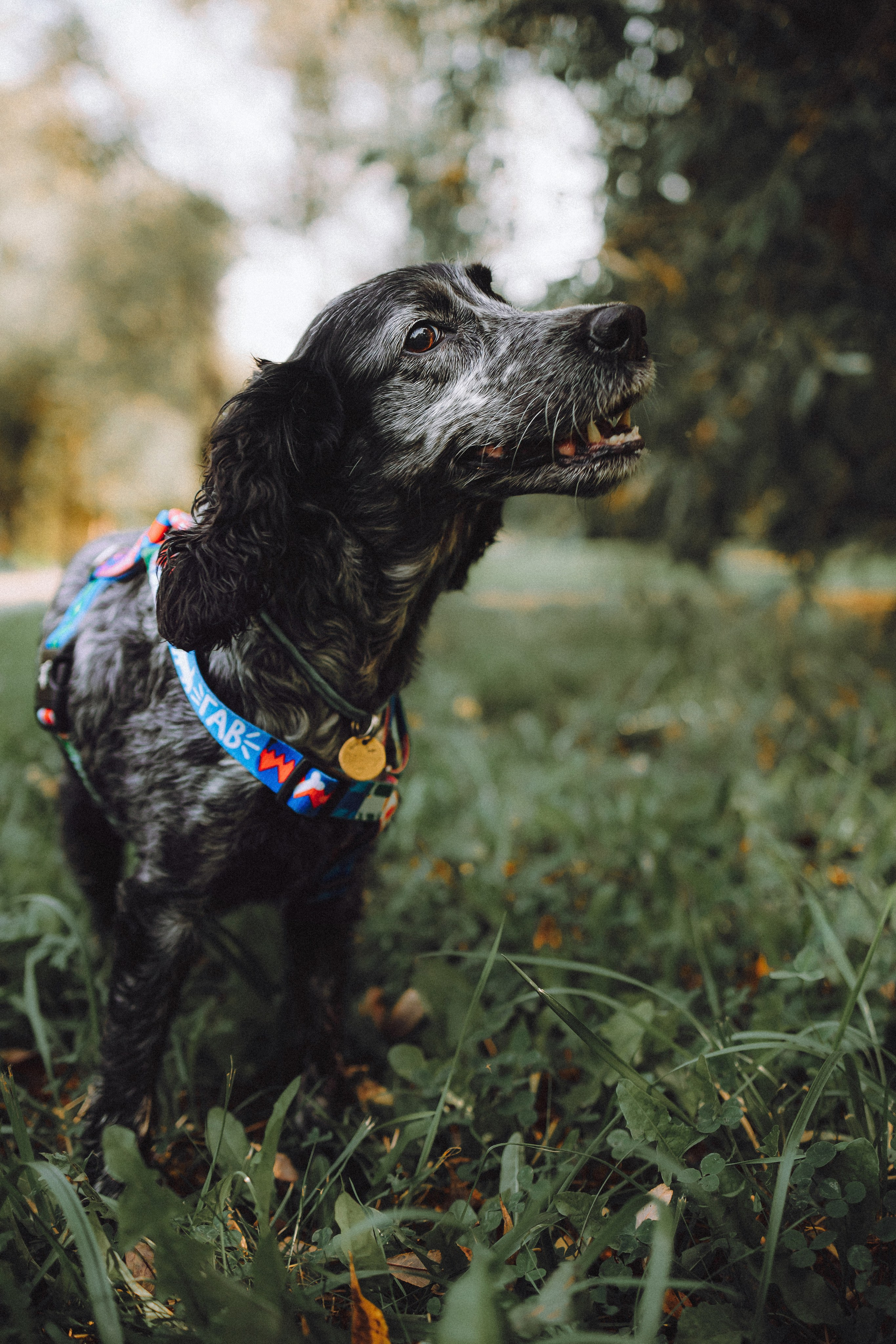 Маша и Ларри