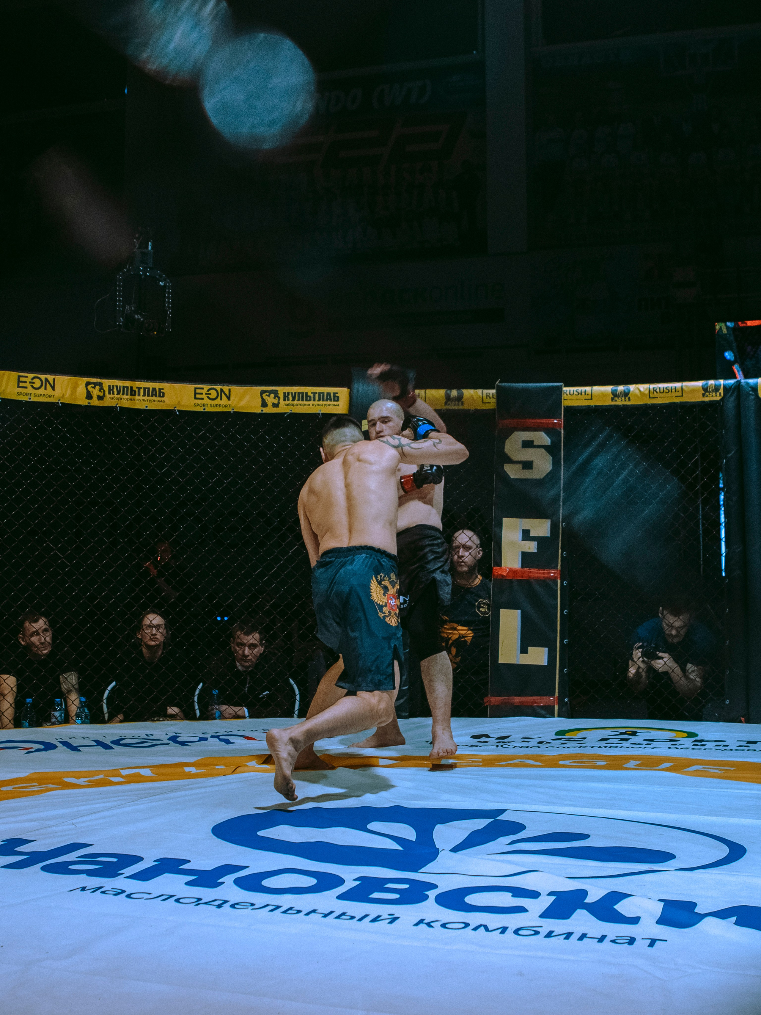 SFL 17 | Siberian Fighting League. Портретный фотограф в Москве Дарья Цезария