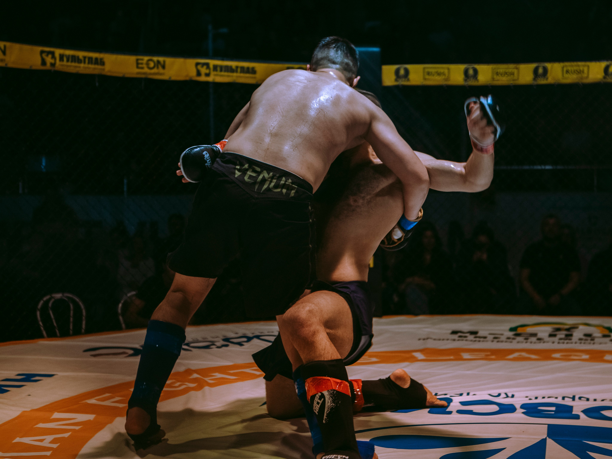 SFL 17 | Siberian Fighting League. Портретный фотограф в Москве Дарья Цезария