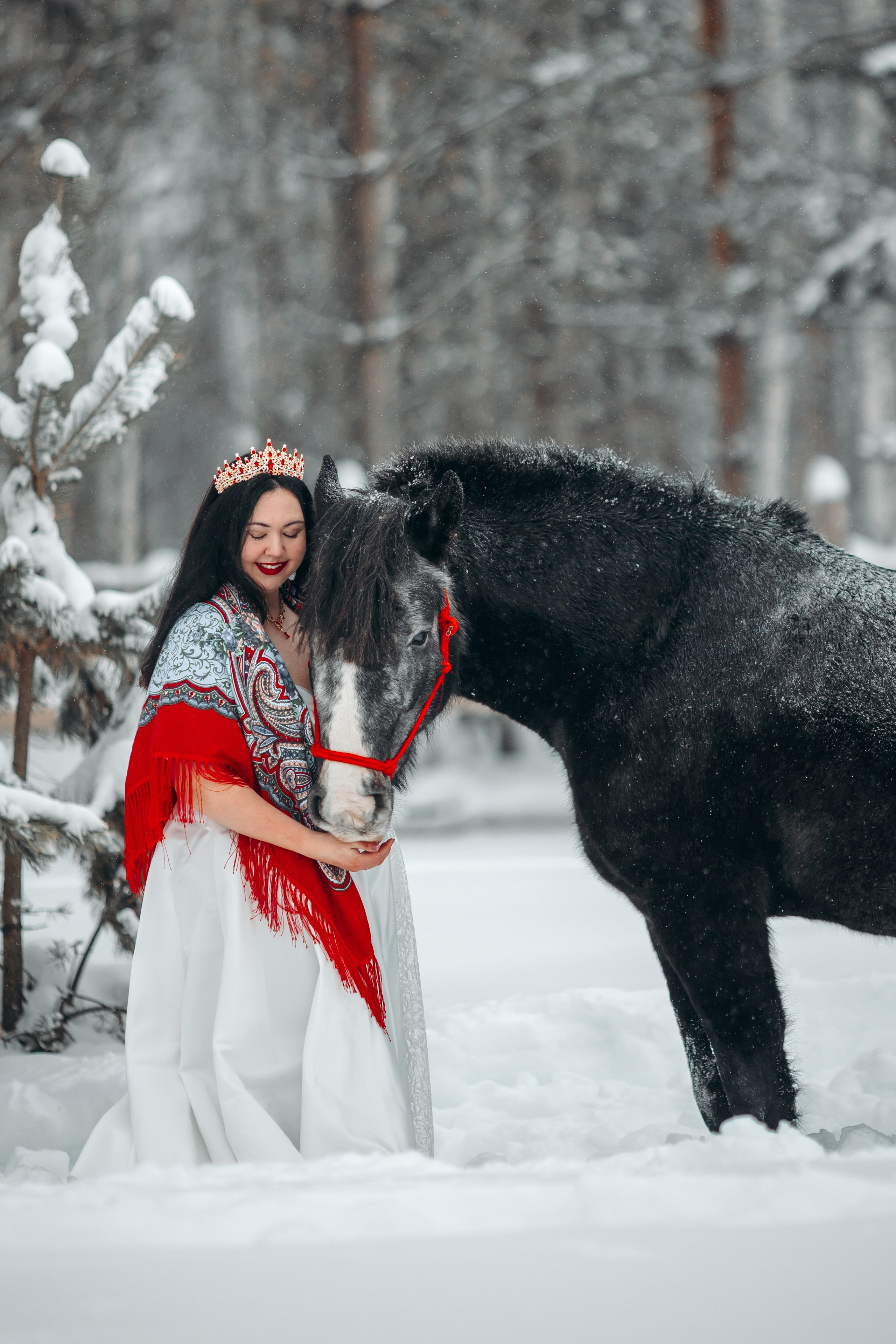 Яблоки на снегу. Анна Молчанова конный фотограф в Тюмени | фотосессии с лошадьми Тюмень