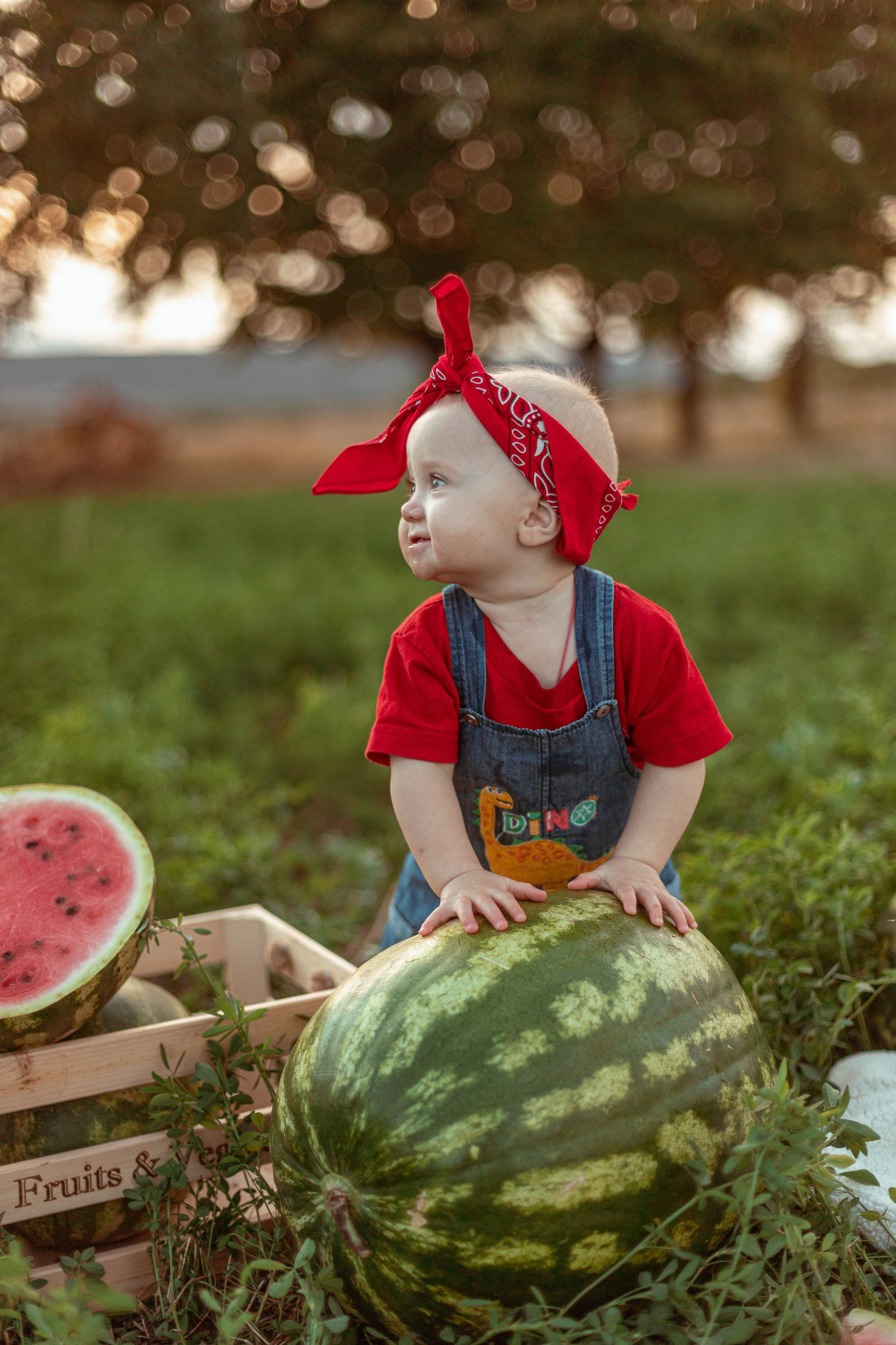 АРБУЗЫ. Семейный и детский фотограф в Крыму Екатерина Швец