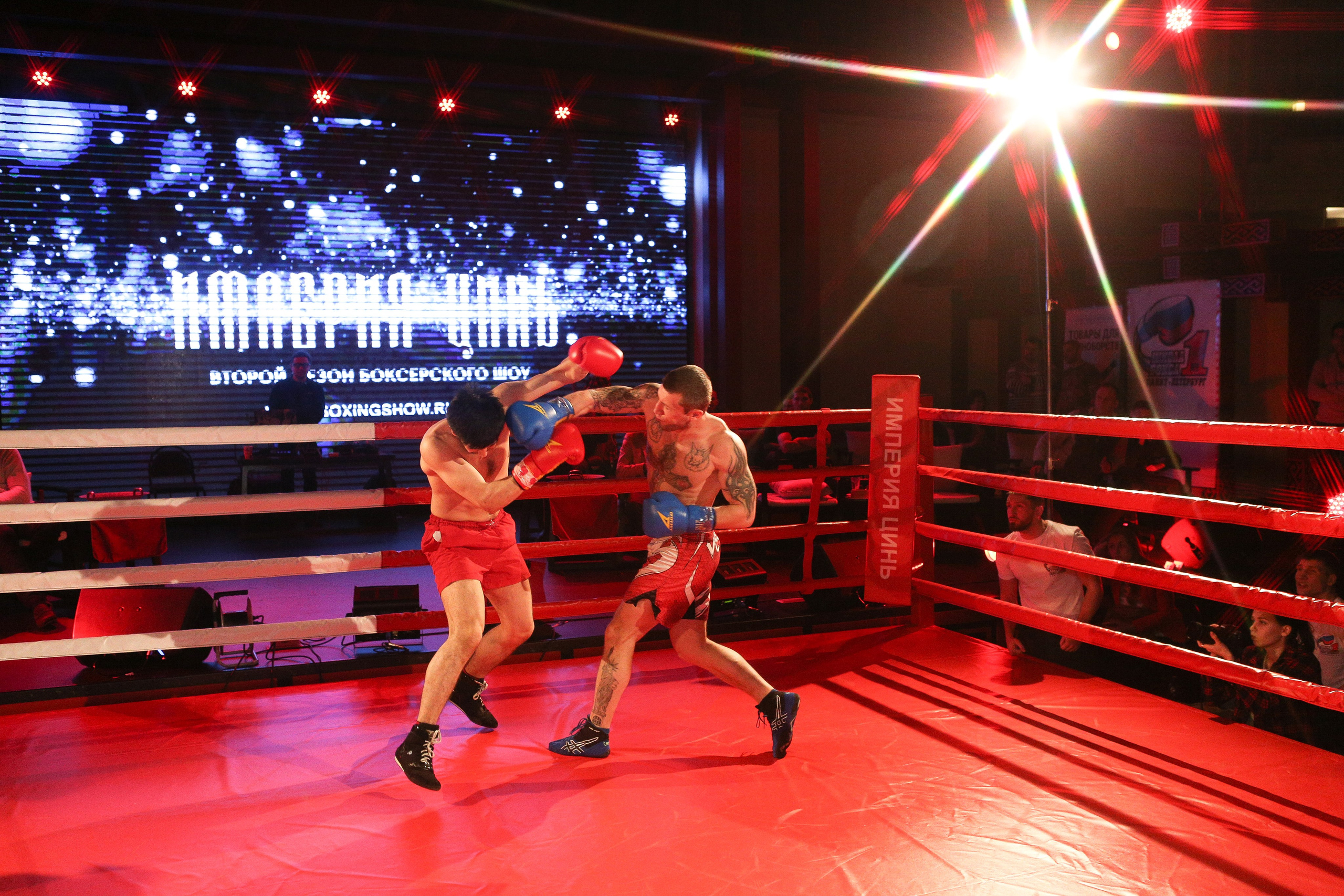 БОКС Империя Цынь, турнир первый. Фотограф Александр Заломаев