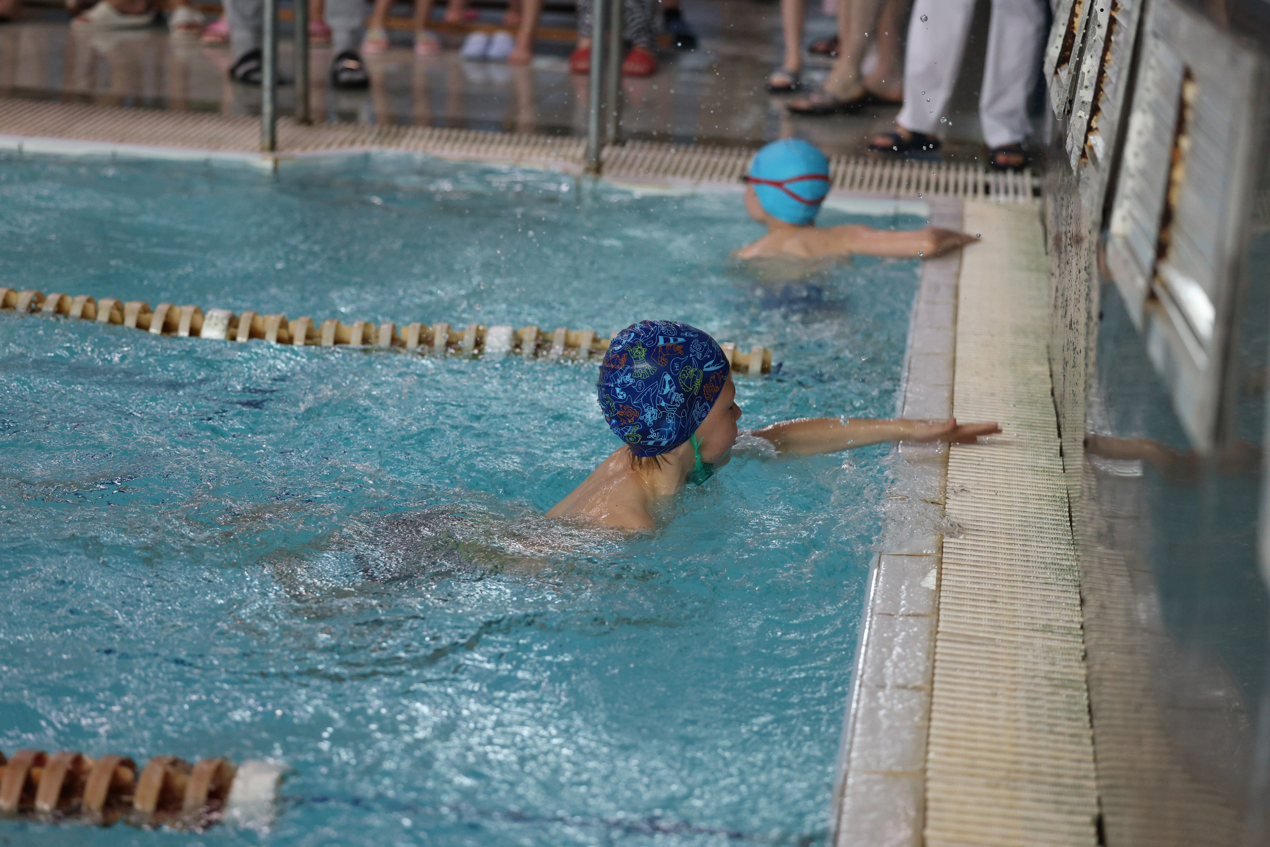 Веселый дельфин. Плавание. Дети 8-9 лет. Фотограф Александр Заломаев