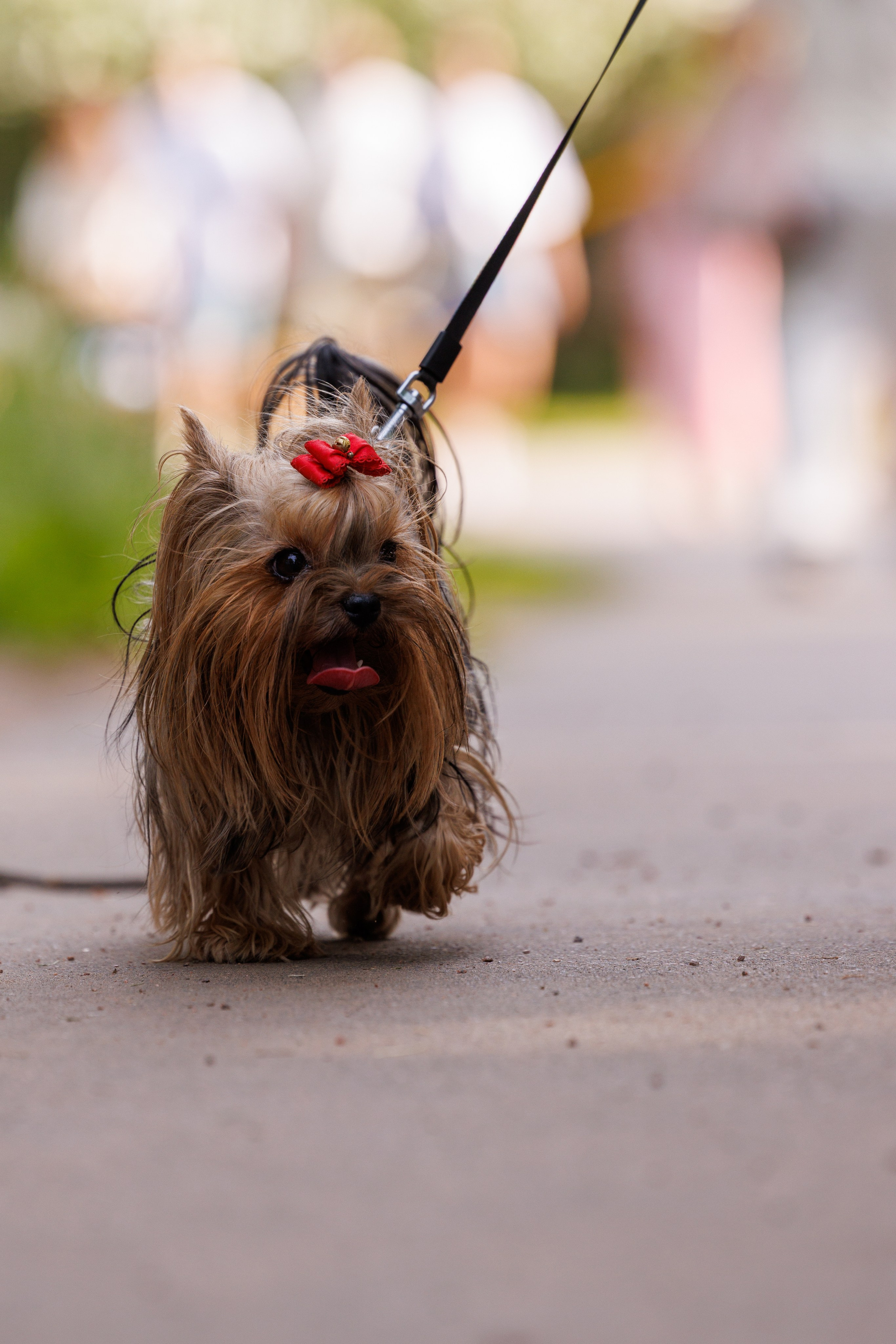 PetShopDays2026. Фотограф Александр Заломаев