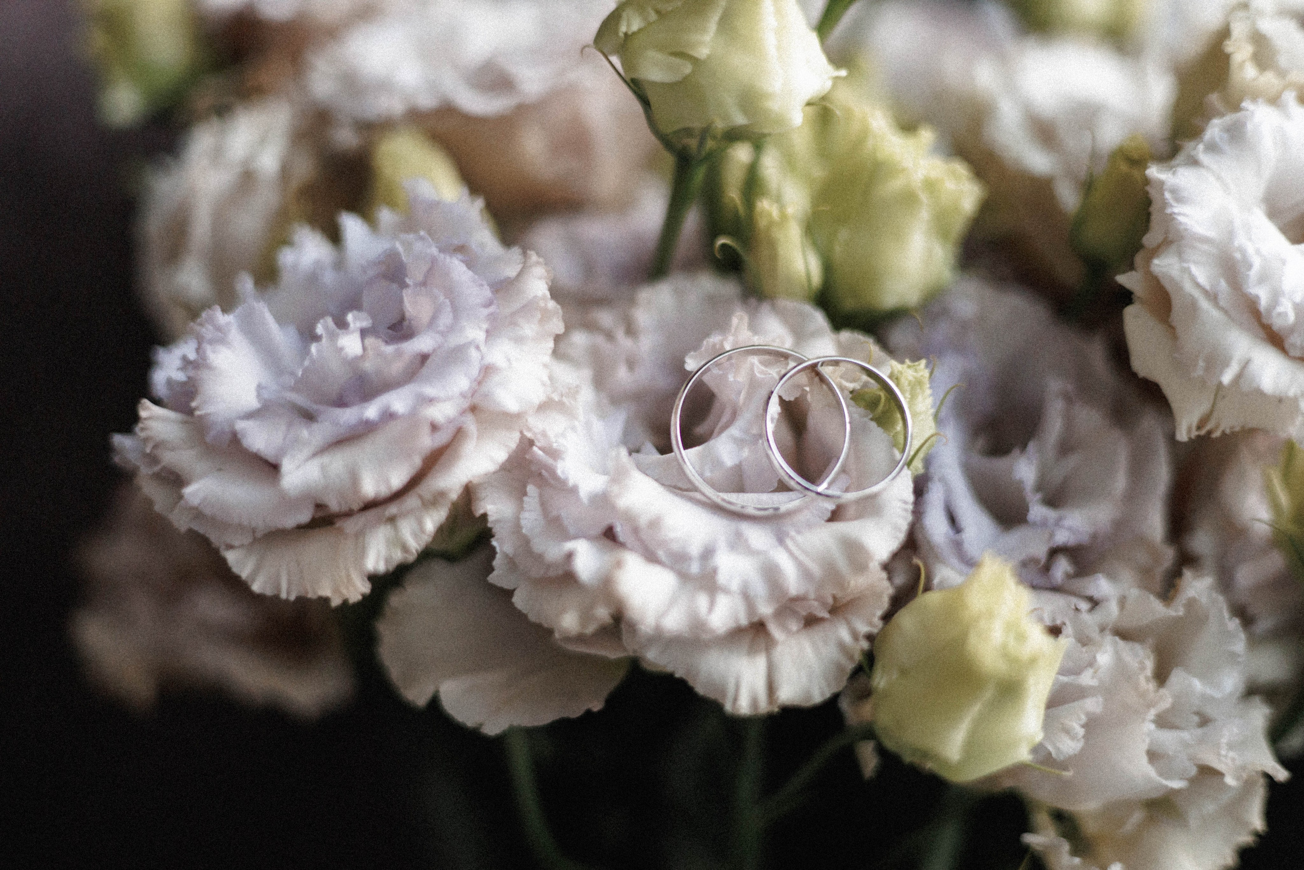 Оксана & Александр. Свадебный и портретный фотограф Соломко Диана