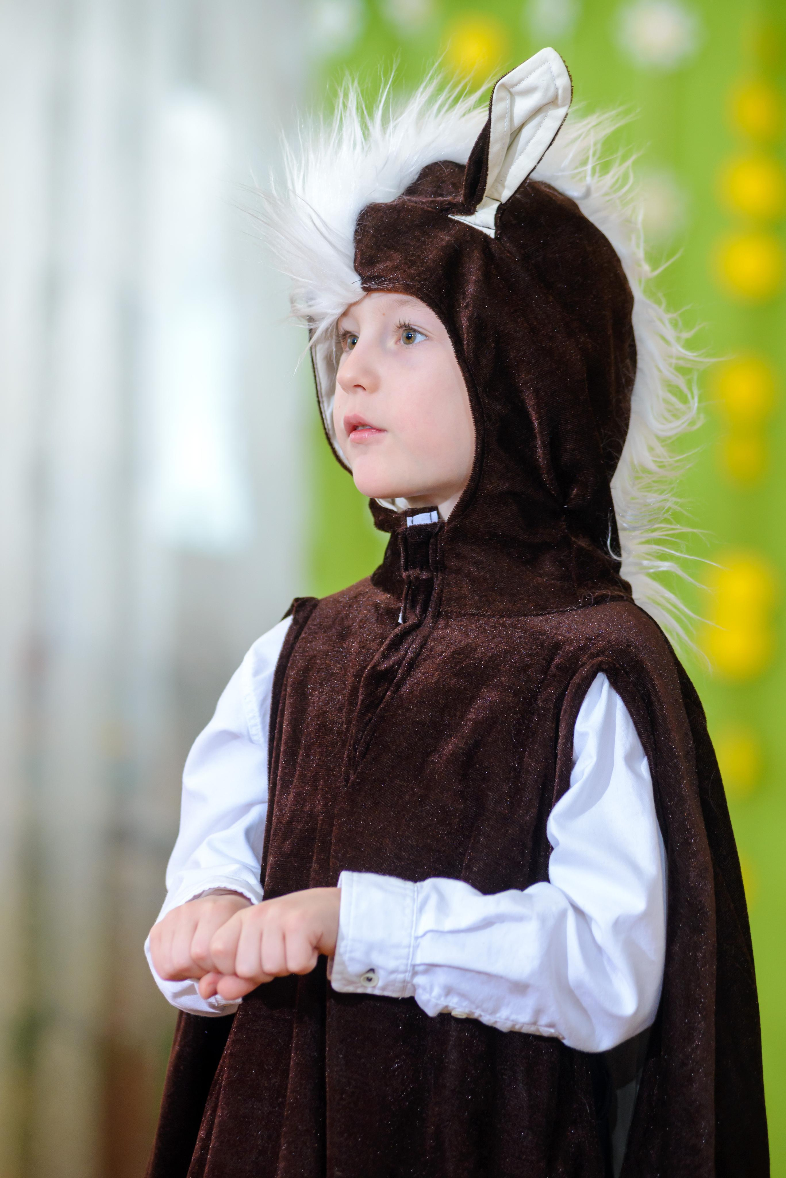 Утренники. Выпускные альбомы Новосибирск