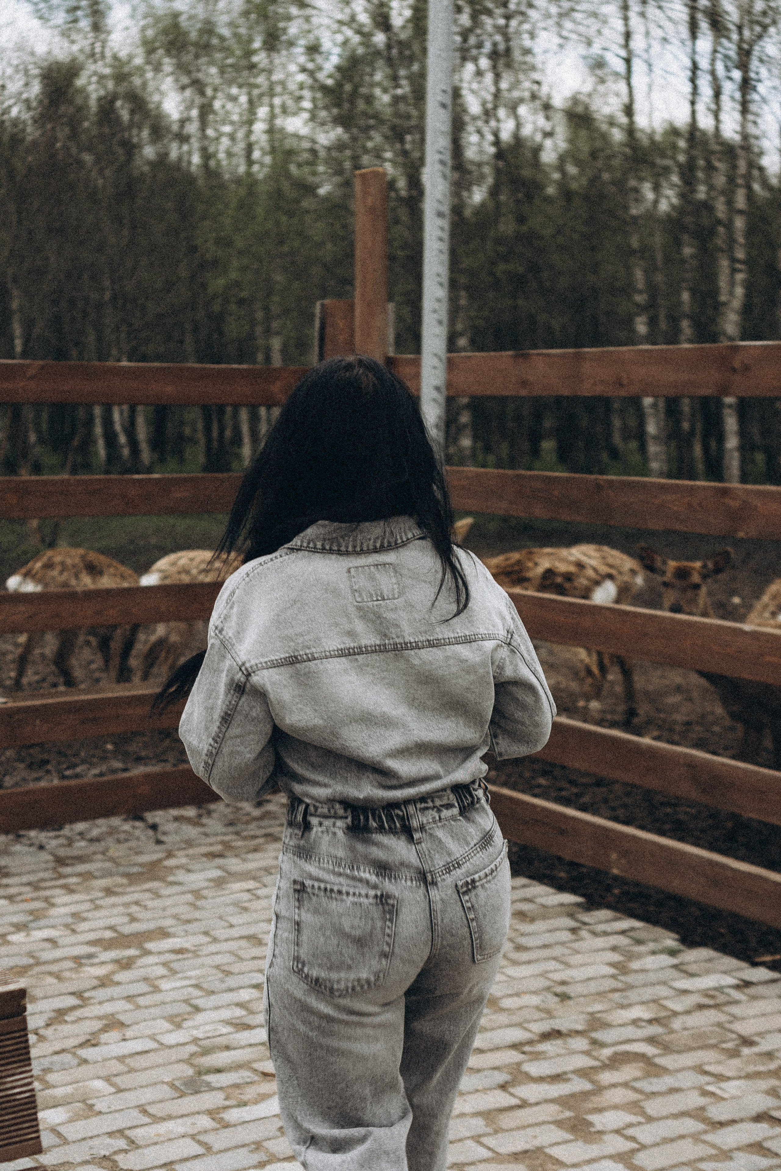 ОЛЕНЬЯ ФЕРМА В ТВЕРИ. Профессиональный фотограф, Санкт-Петербург — Виктория Богомолова