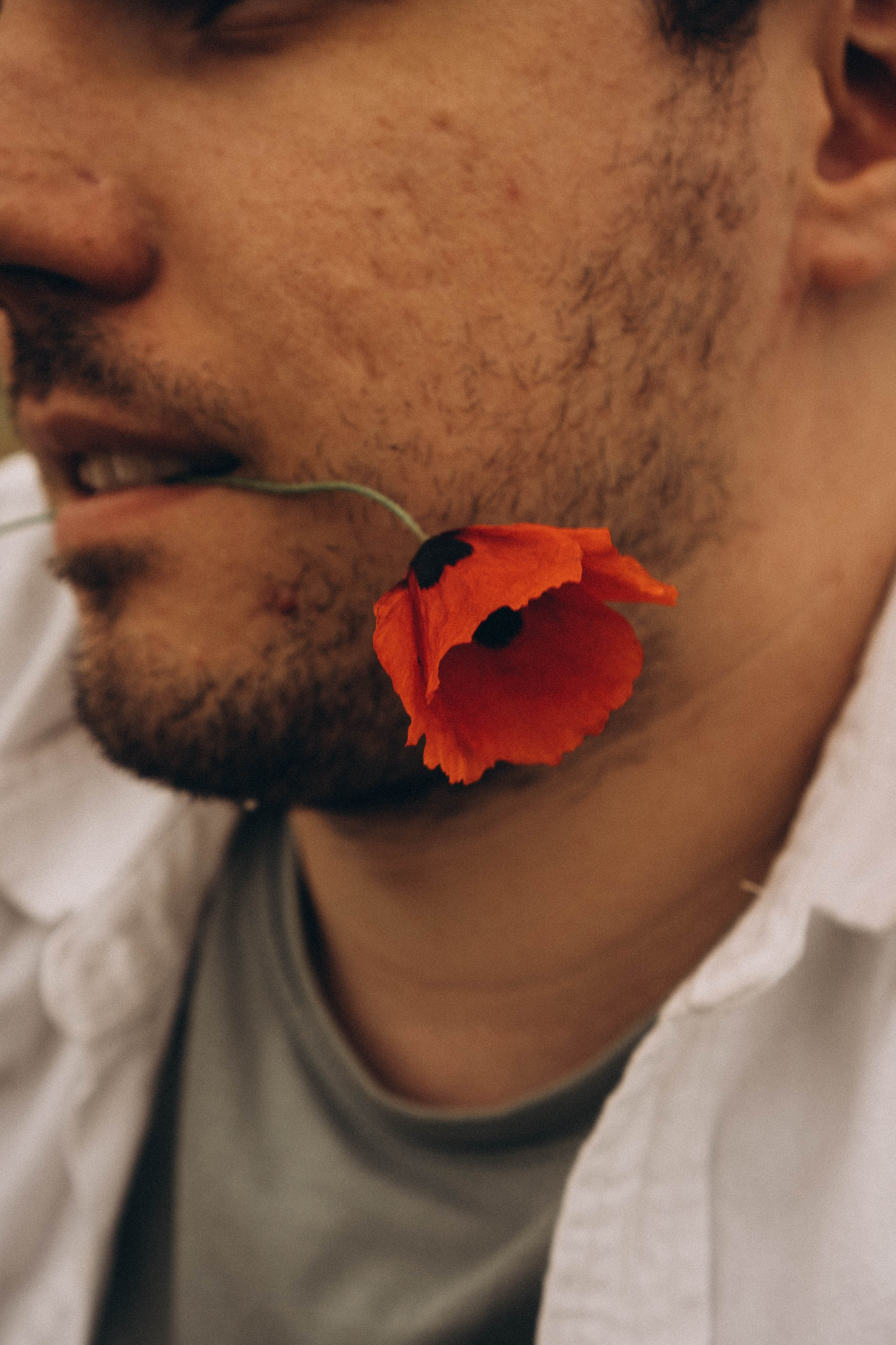 Маки. Профессиональный фотограф, Санкт-Петербург — Виктория Богомолова