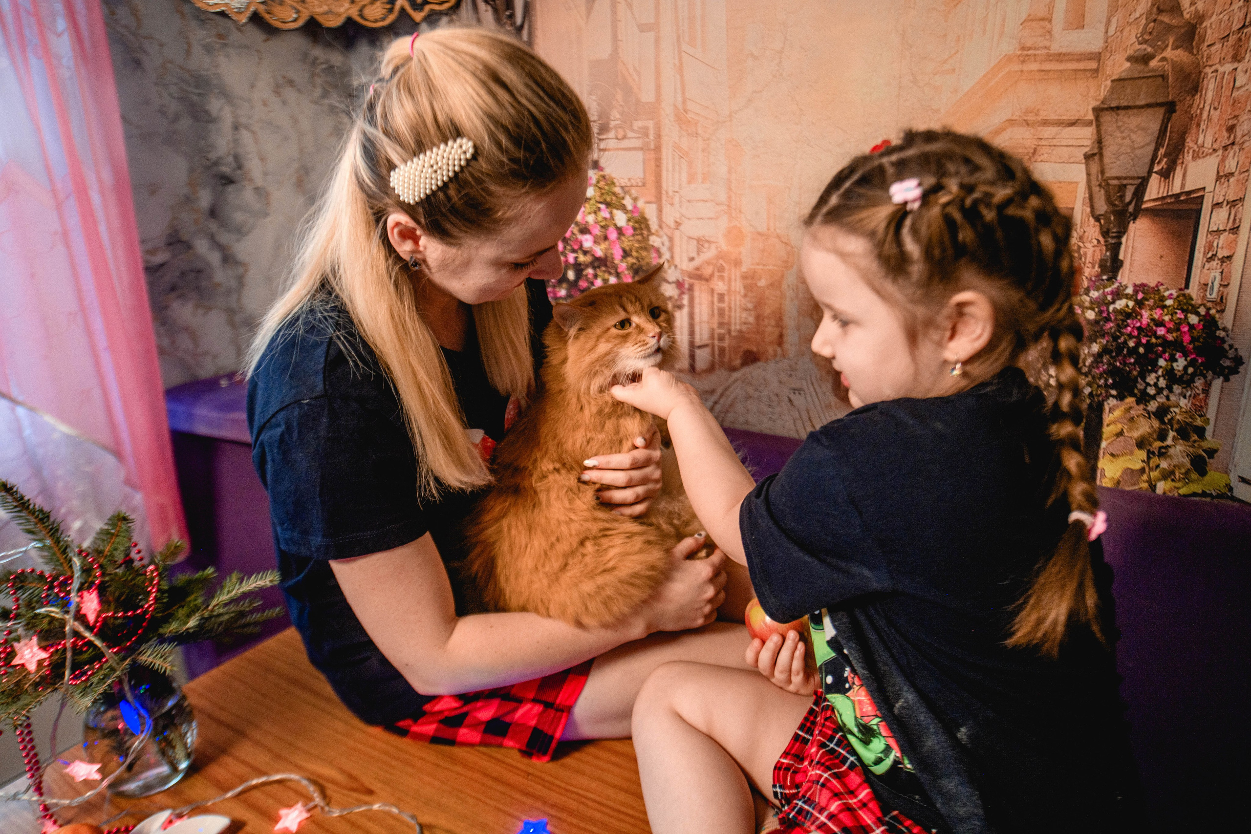 Новый год на кухне. Фотограф/Тортодел Семёнова Анастасия