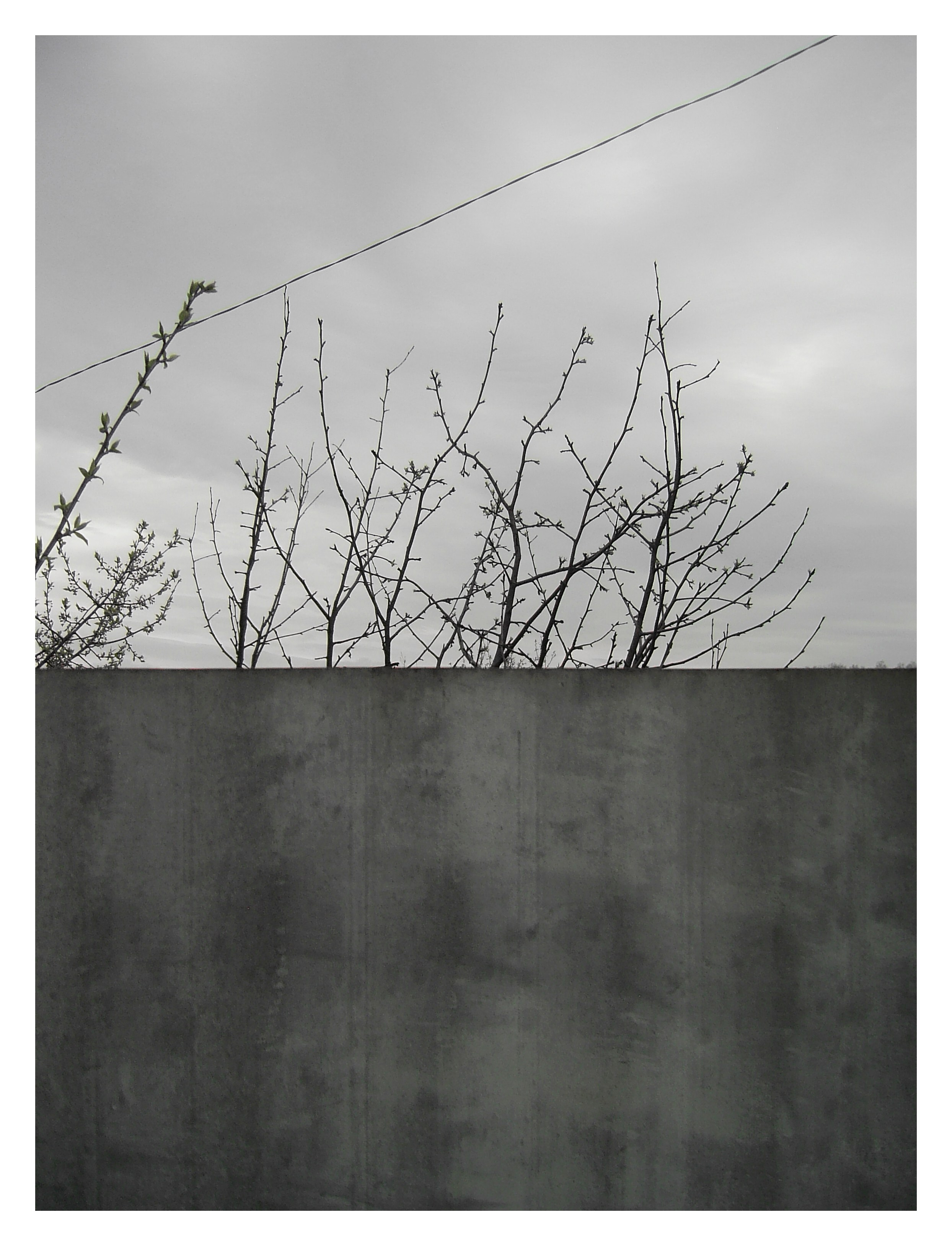 ДАЧА. Фотограф Манакова Ольга