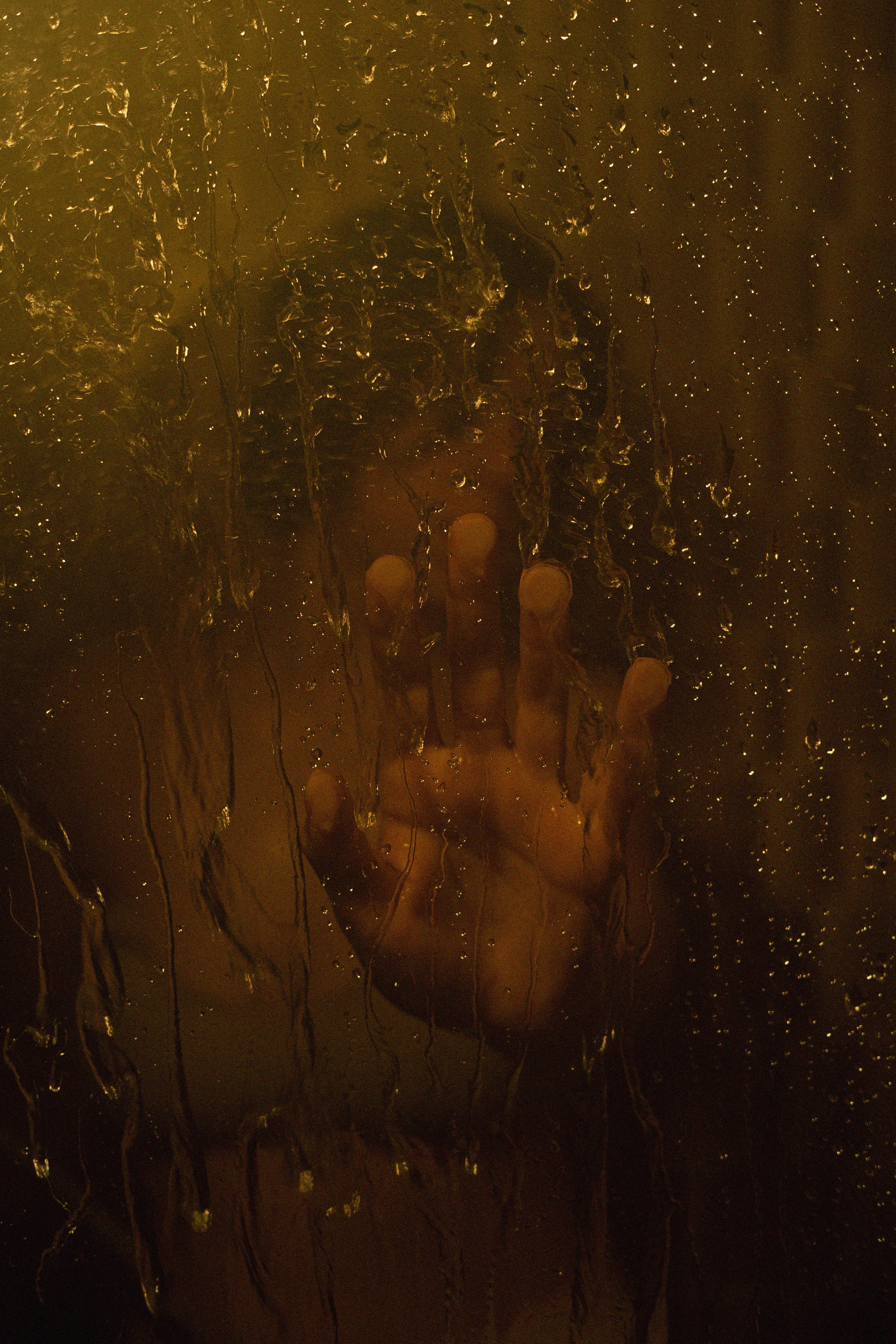 S H A P E. Свадебный фотограф Колесников Антон