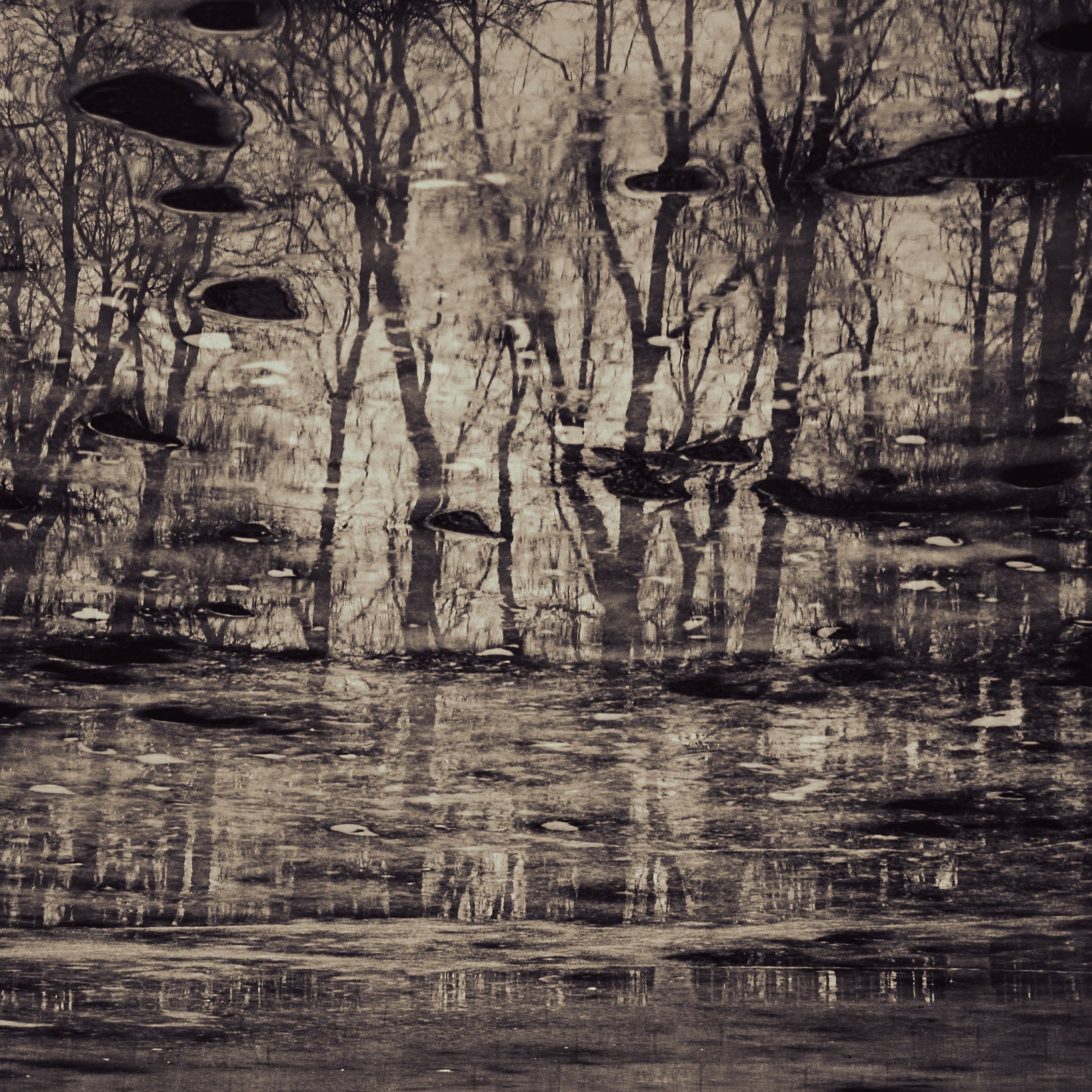 Зазеркалье 2025. Яна Каменская