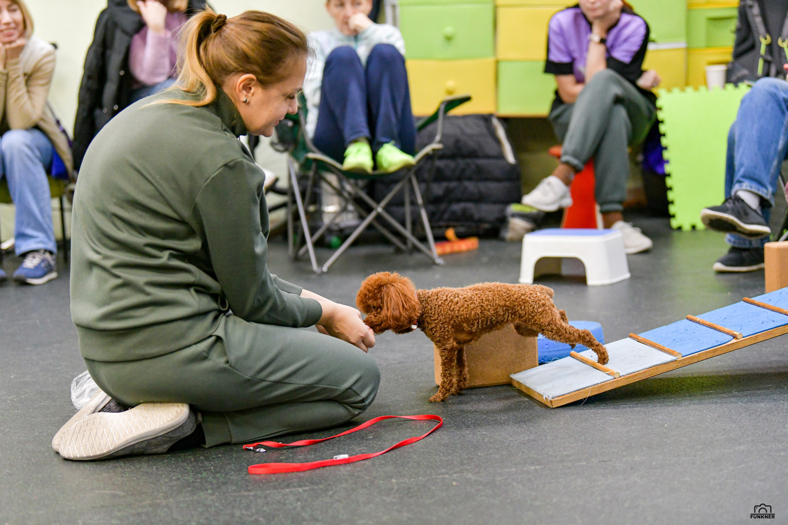 Кинологический клуб «Бодрый хвост». Свой взгляд через объектив