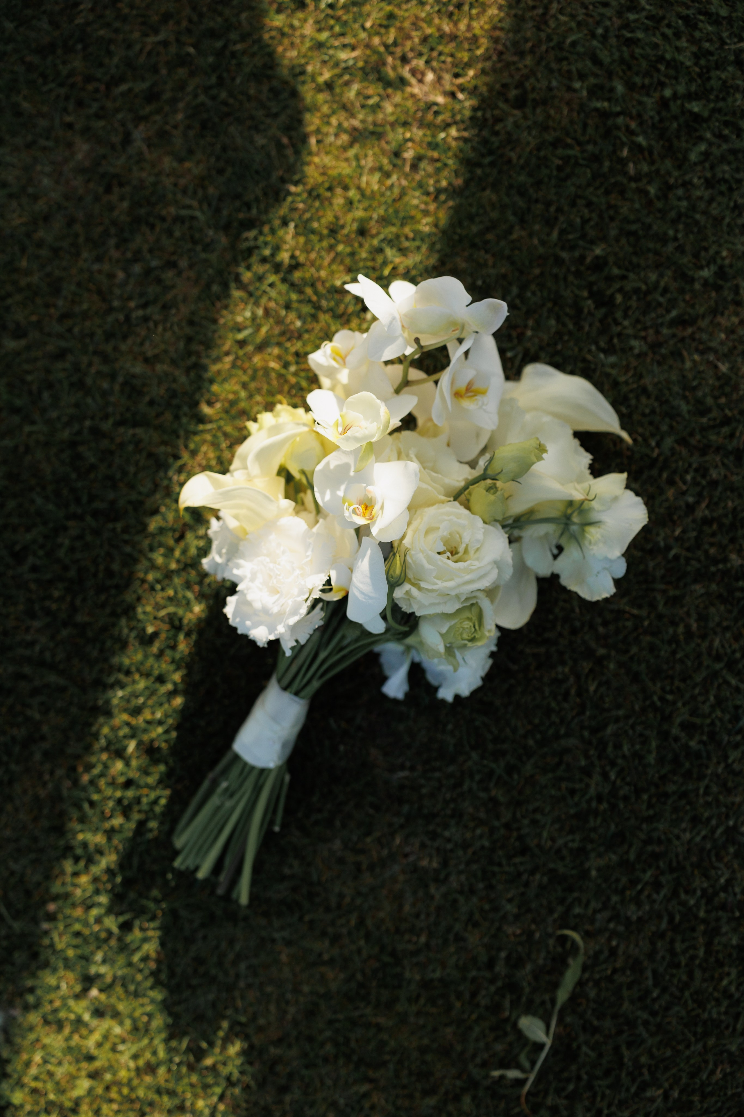 Ты — мой воздух. Аксанна Аракелян