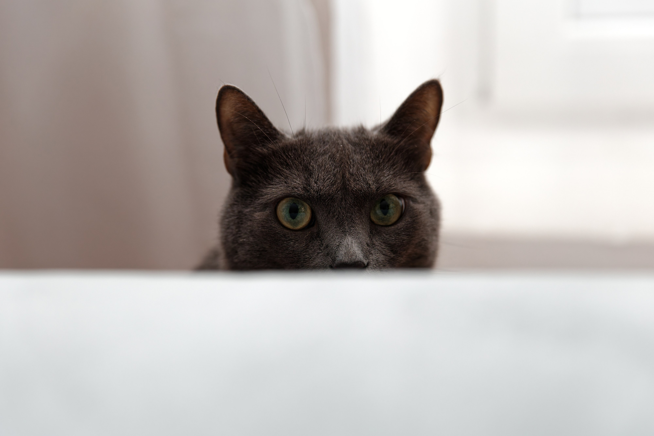 Семья Гуторовых. Семейный фотограф — Макс Белогрудов