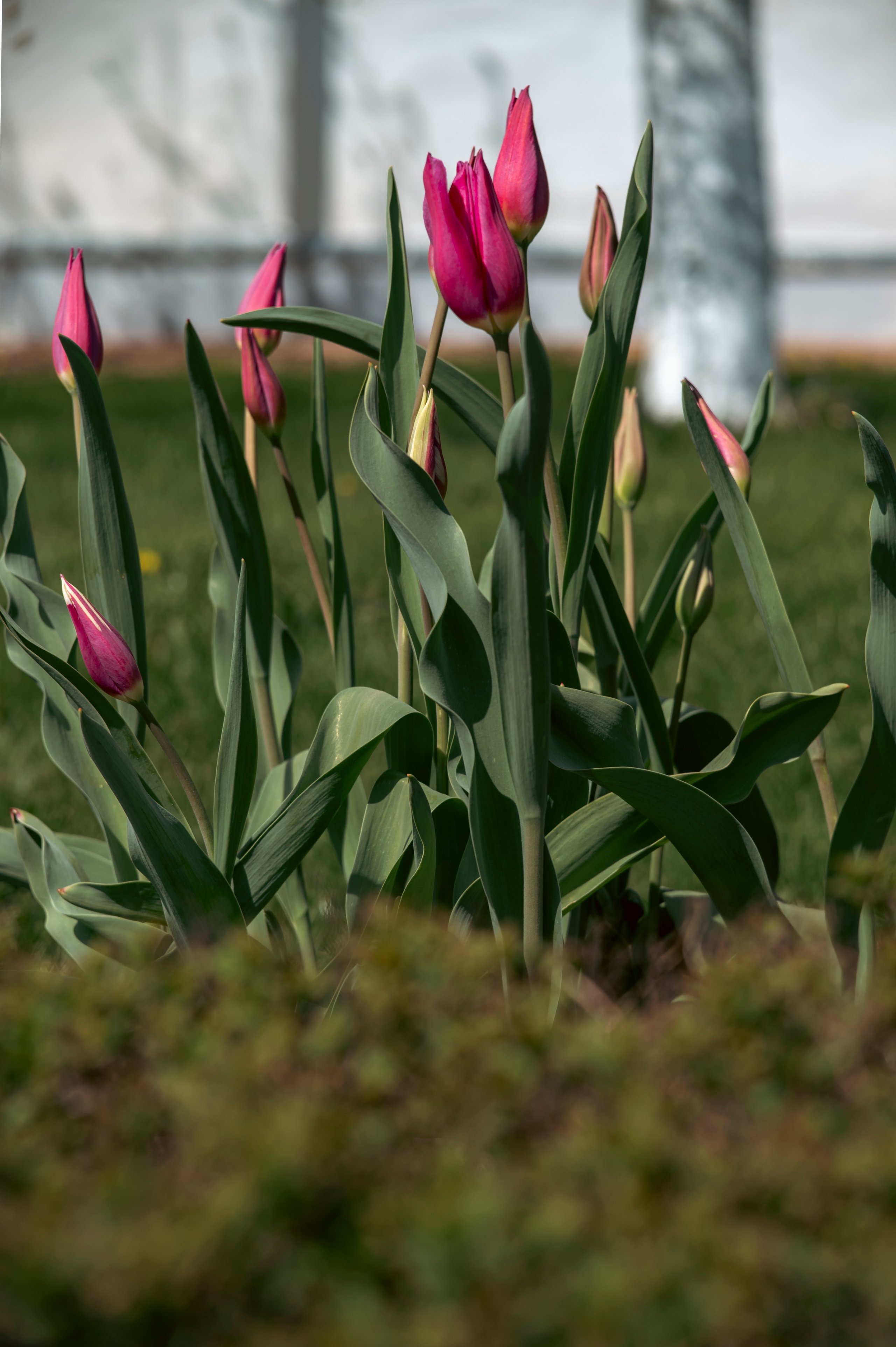 Муром. Май 2022. Фотограф Роман Адлер