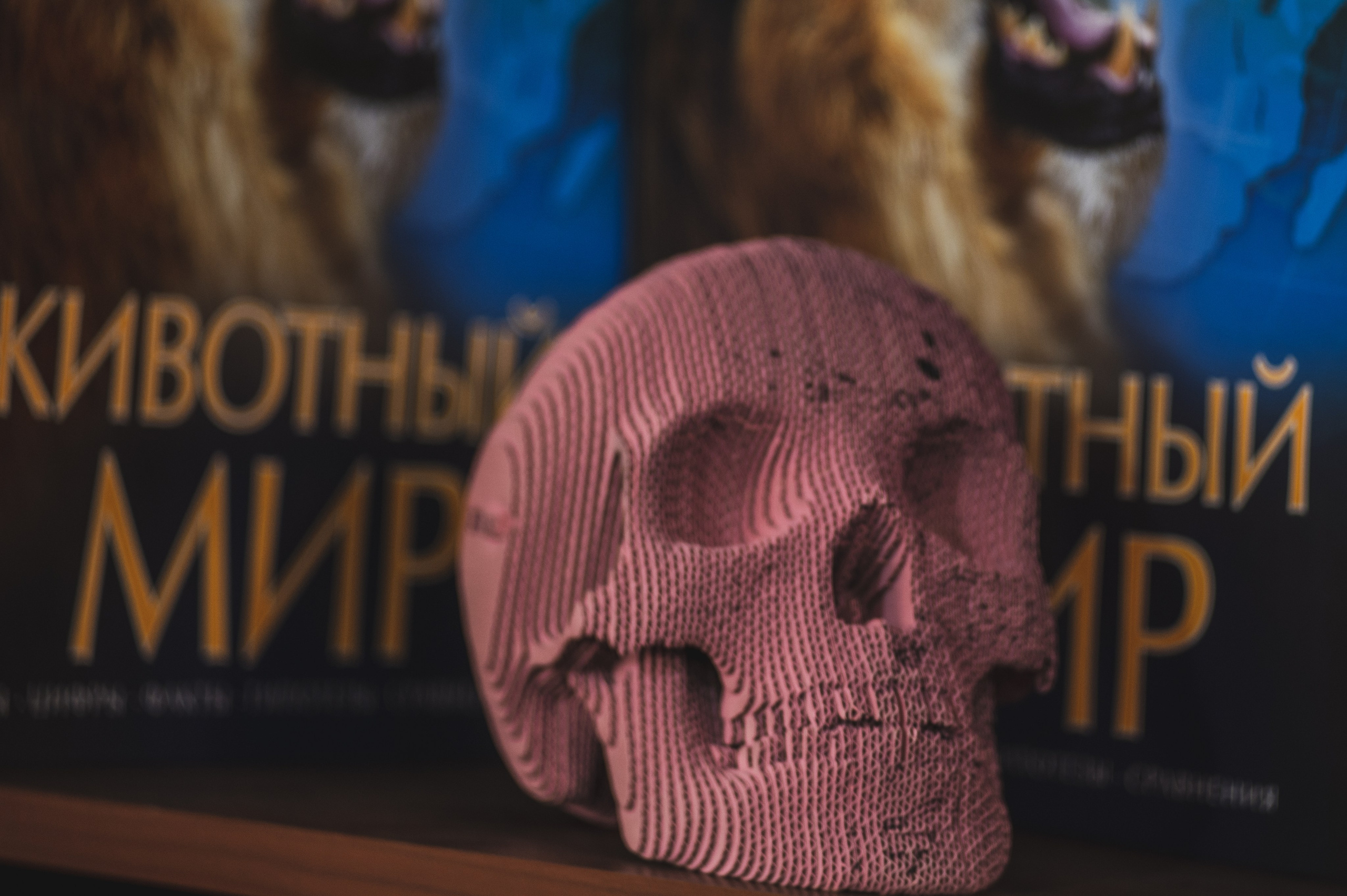 Whisky Rooms Ром фестиваль. Фотограф Роман Адлер