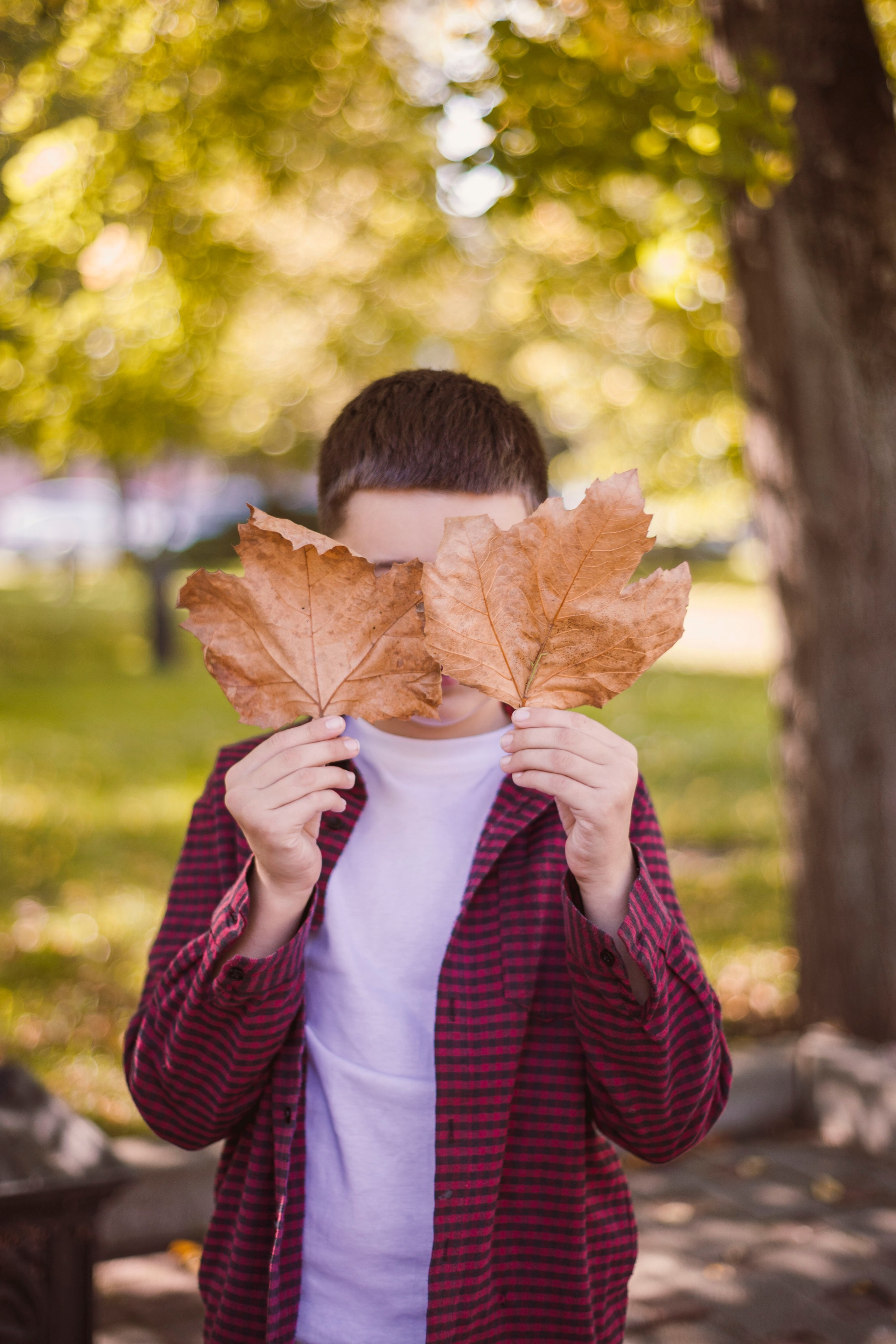 Семейные фотопрогулки. Семейный фотограф в Краснодаре