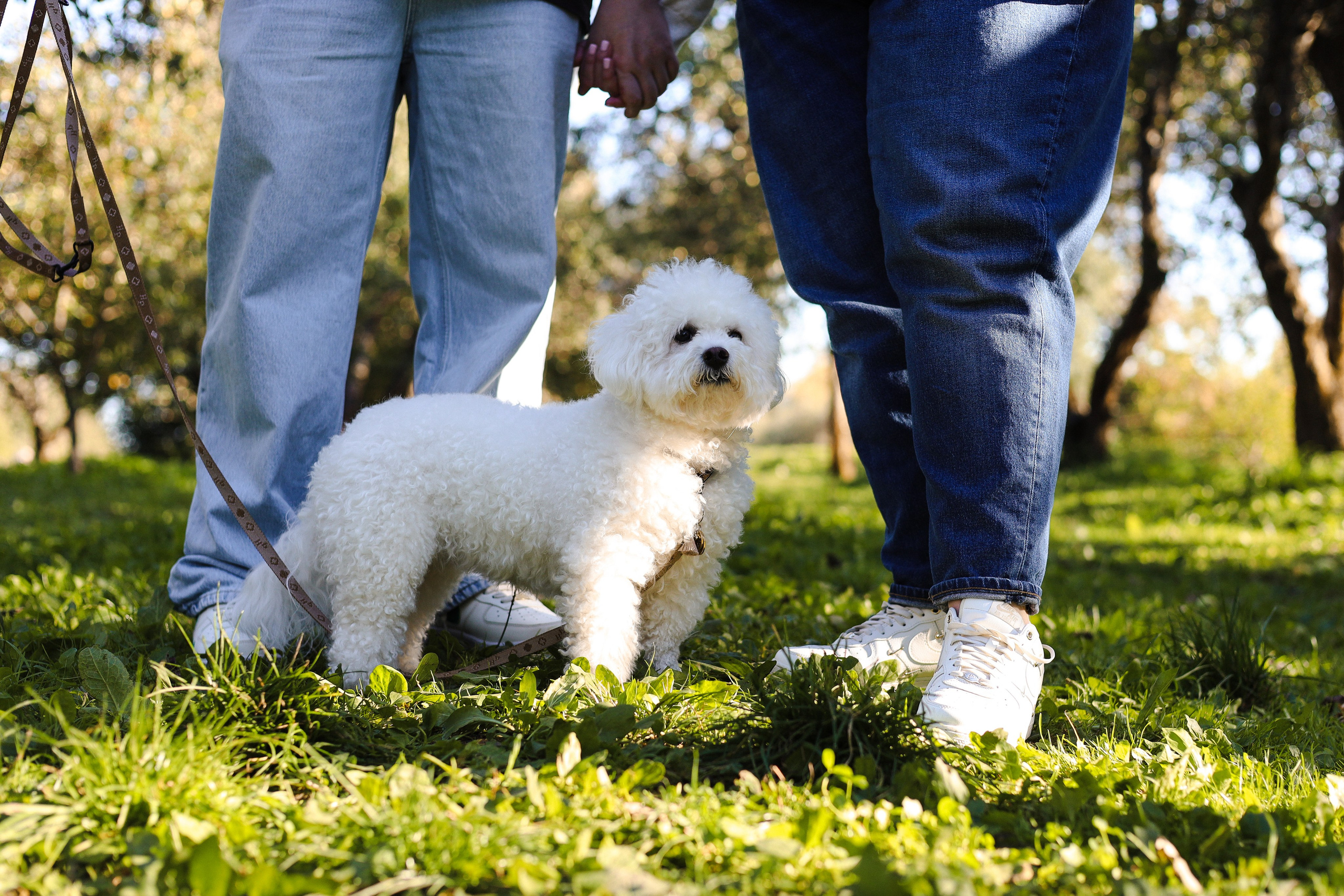 Тимоша, Катя и Вова. Фотограф-анималист Ксения Шевцова|Москва
