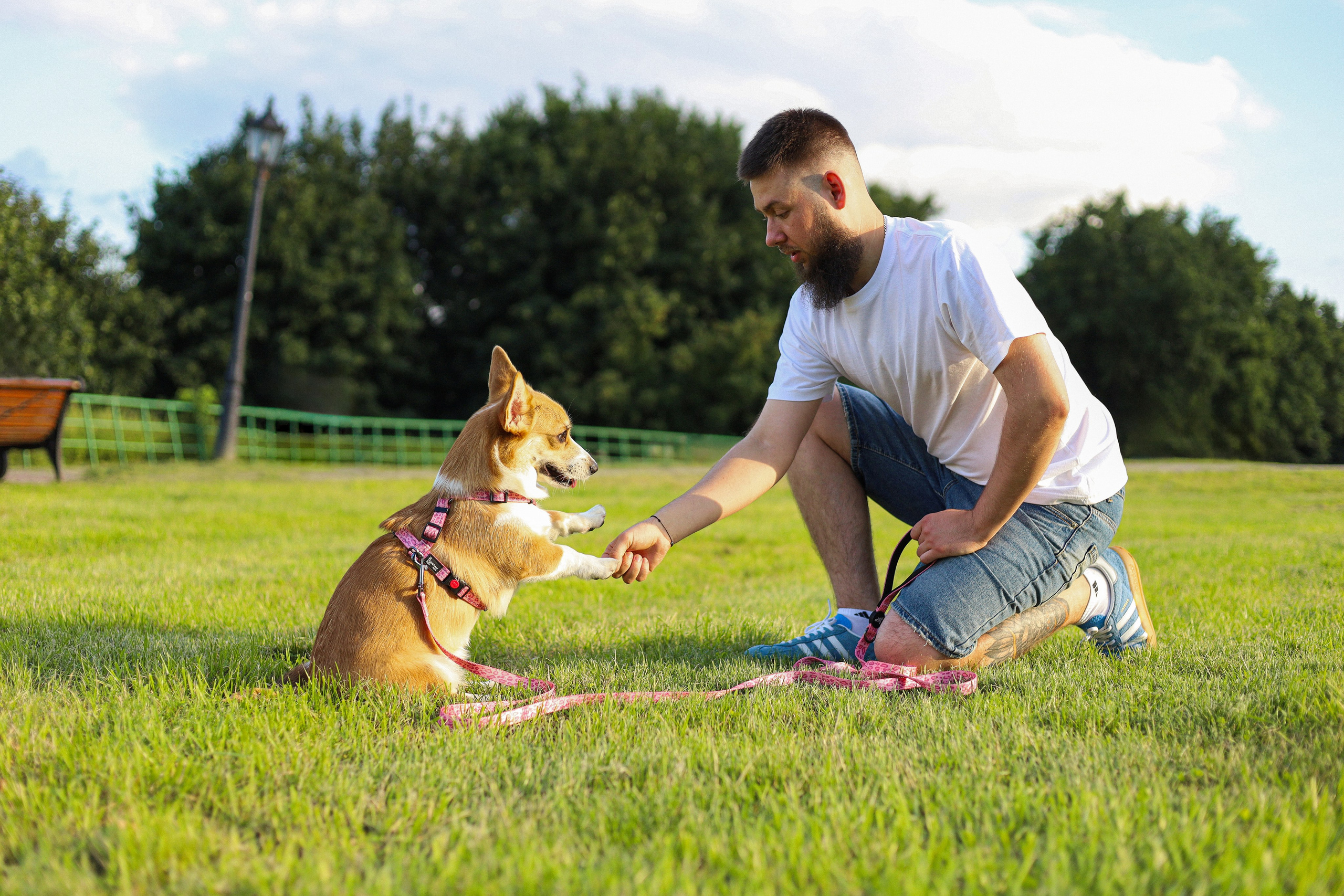 Эмили, Аня и Лёша. Фотограф-анималист Ксения Шевцова|Москва
