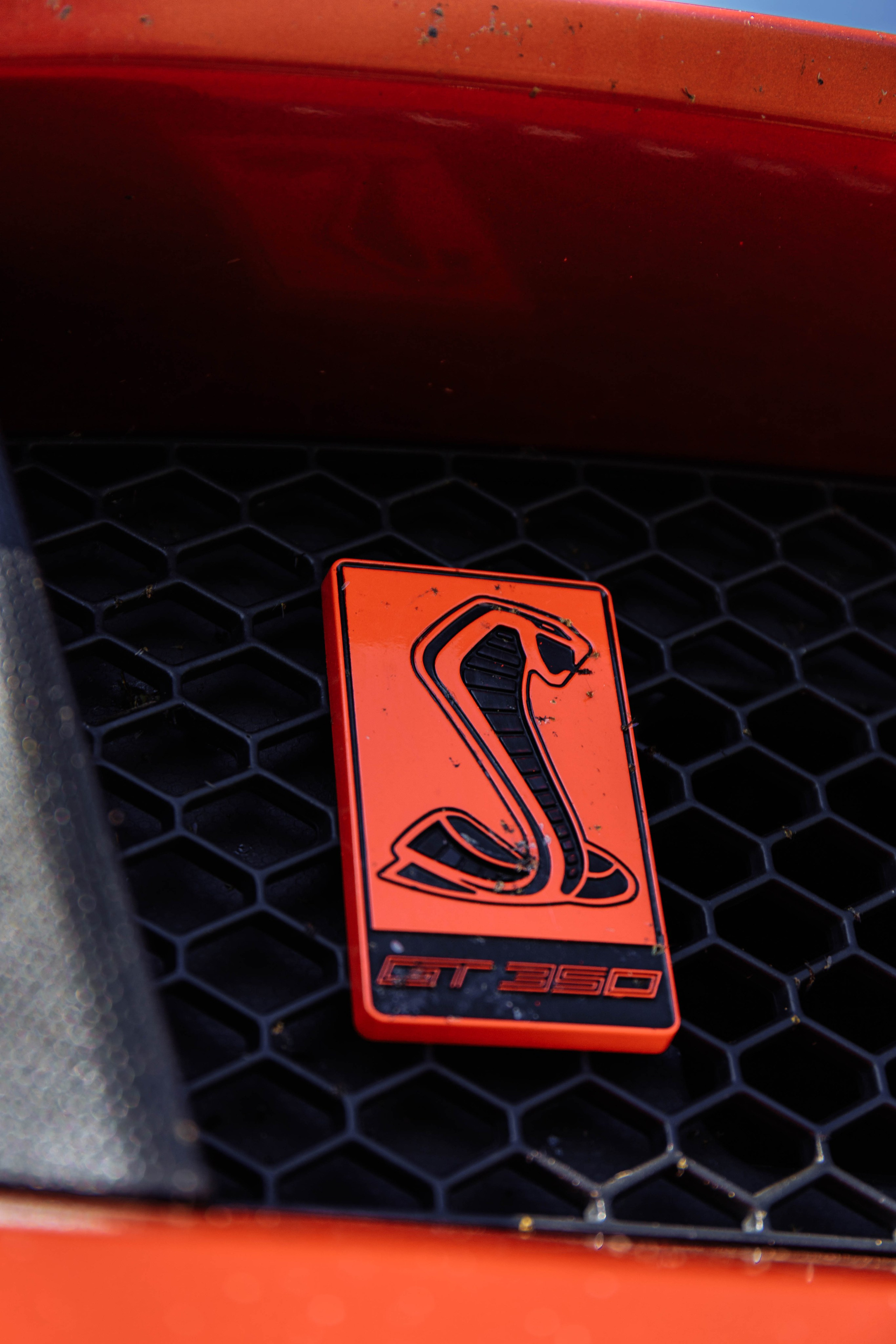 MUSTANG. Репортажный фотограф в Иркутске — Ярослав Ковалёв