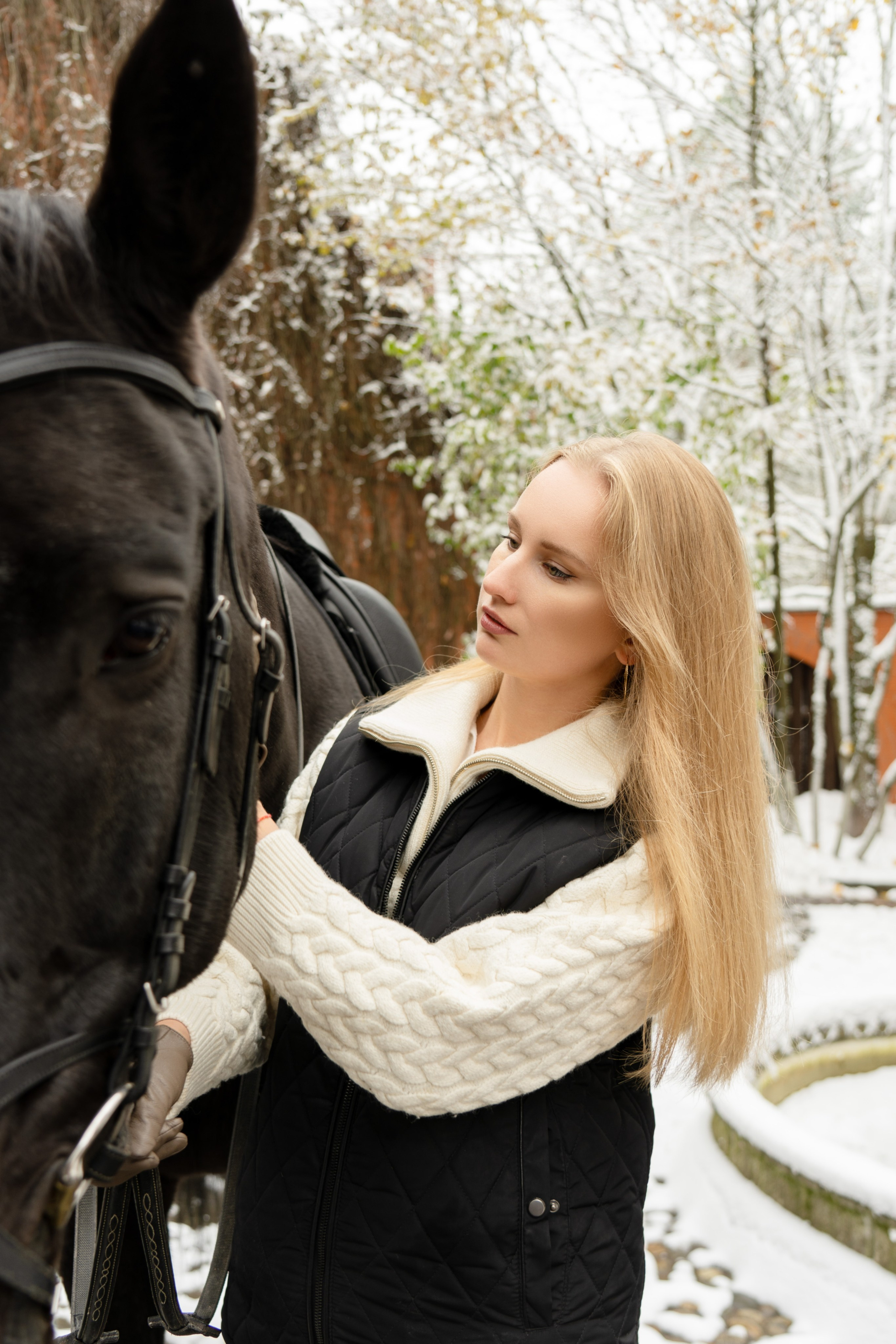 Фотосессия с лошадьми. Главная