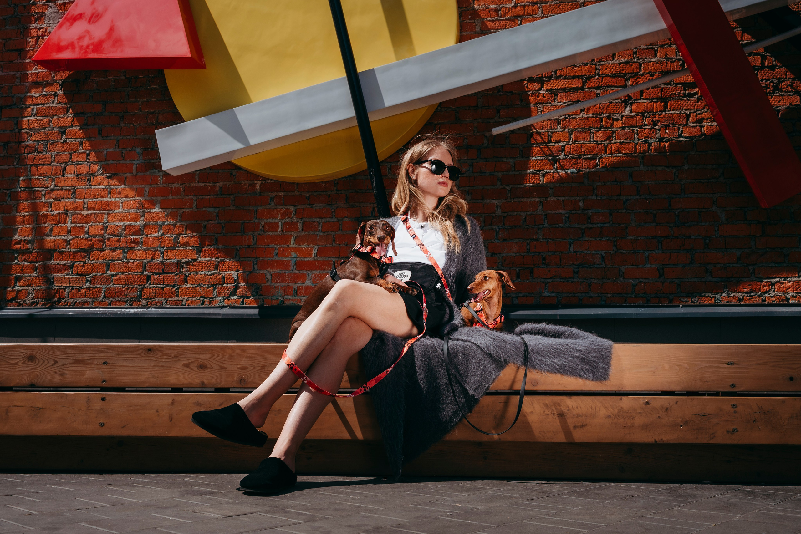 BRRRO. Семейный фотограф анималист Ананьева Мария — Москва