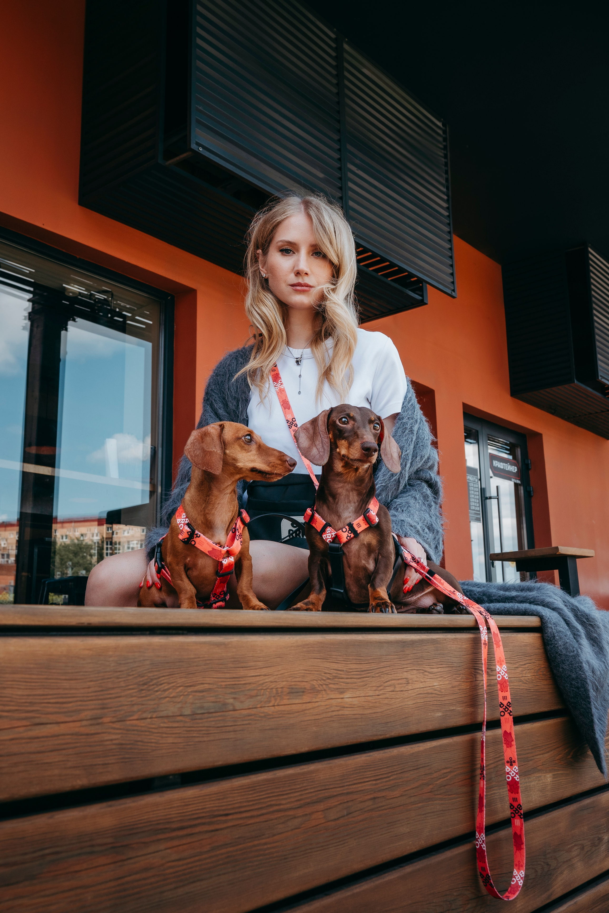 BRRRO. Семейный фотограф анималист Ананьева Мария — Москва