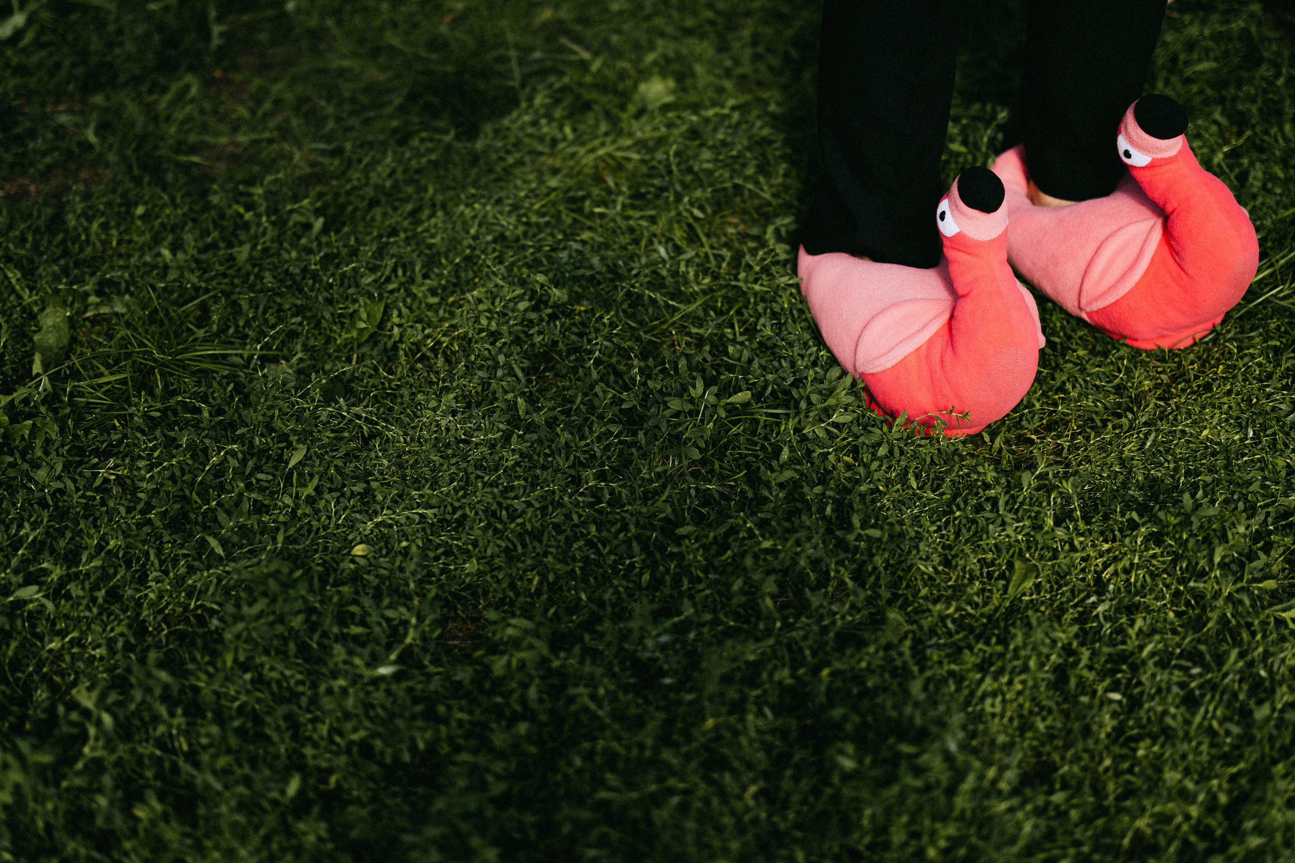 Настя и Артем. Daria Chigintseva Photographer