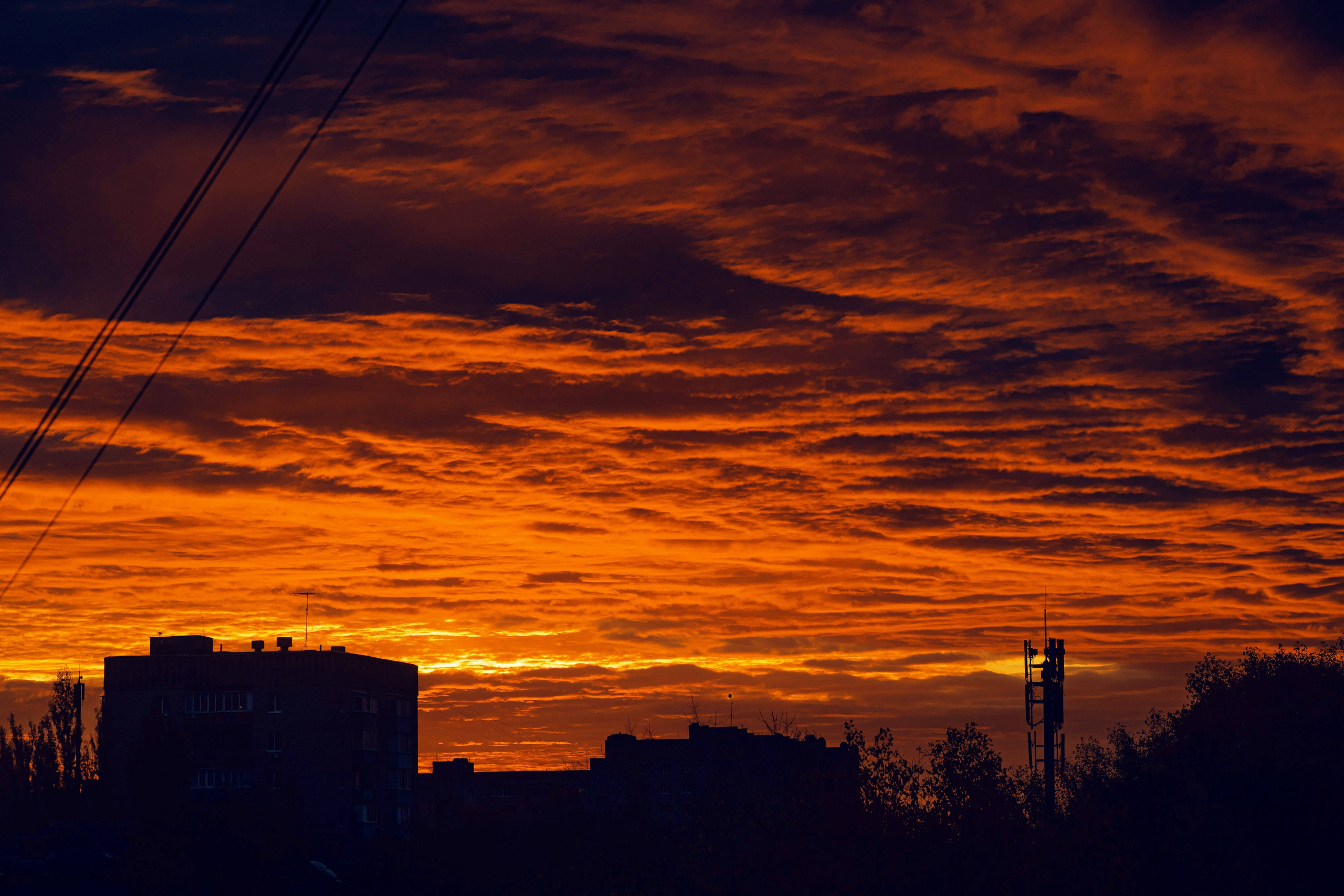 Социум. Фотография — моя жизнь