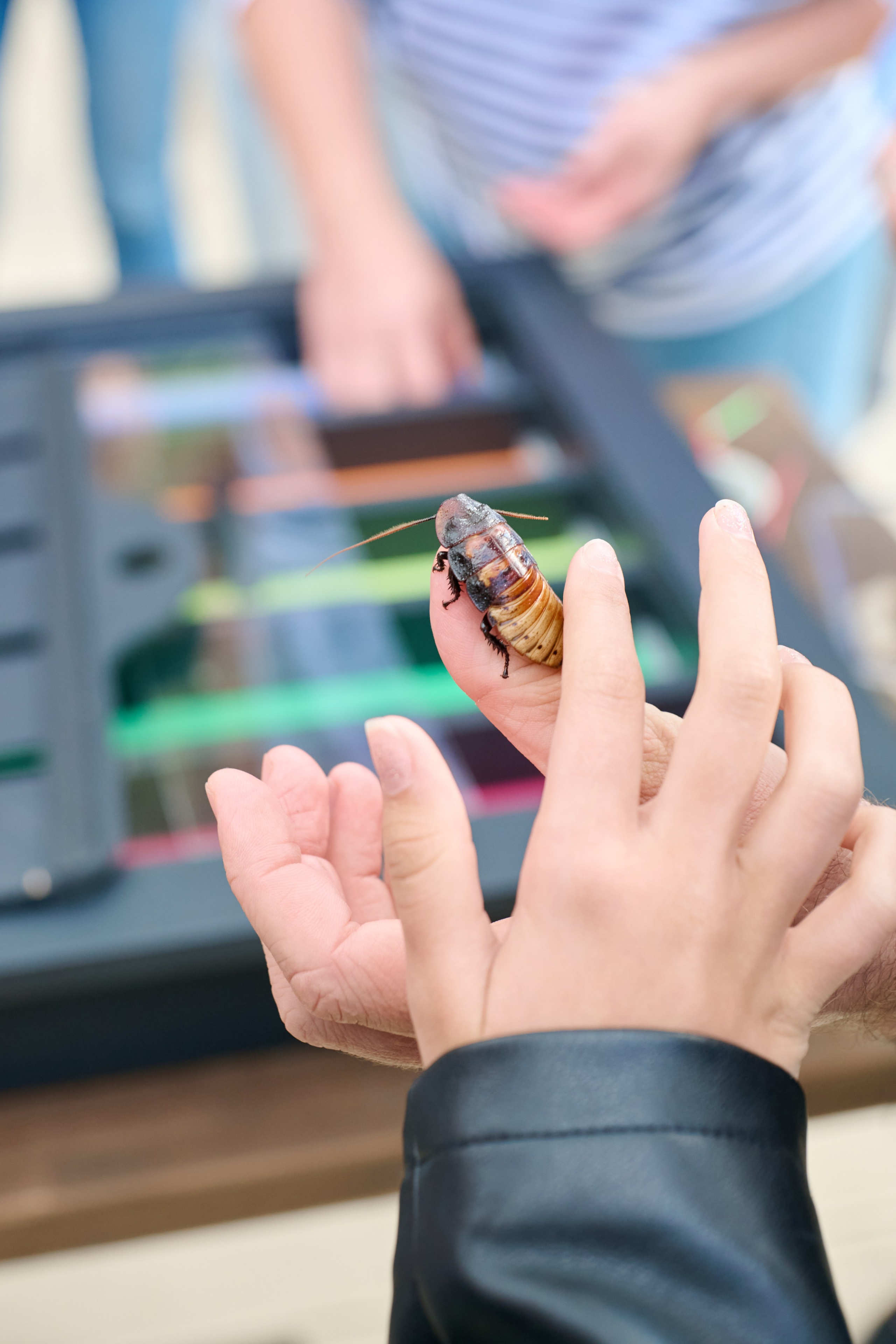 Репортажные сьемки. Репортажные, интерьерные, спортивные сьемки, в Москве Егор Евтюхов