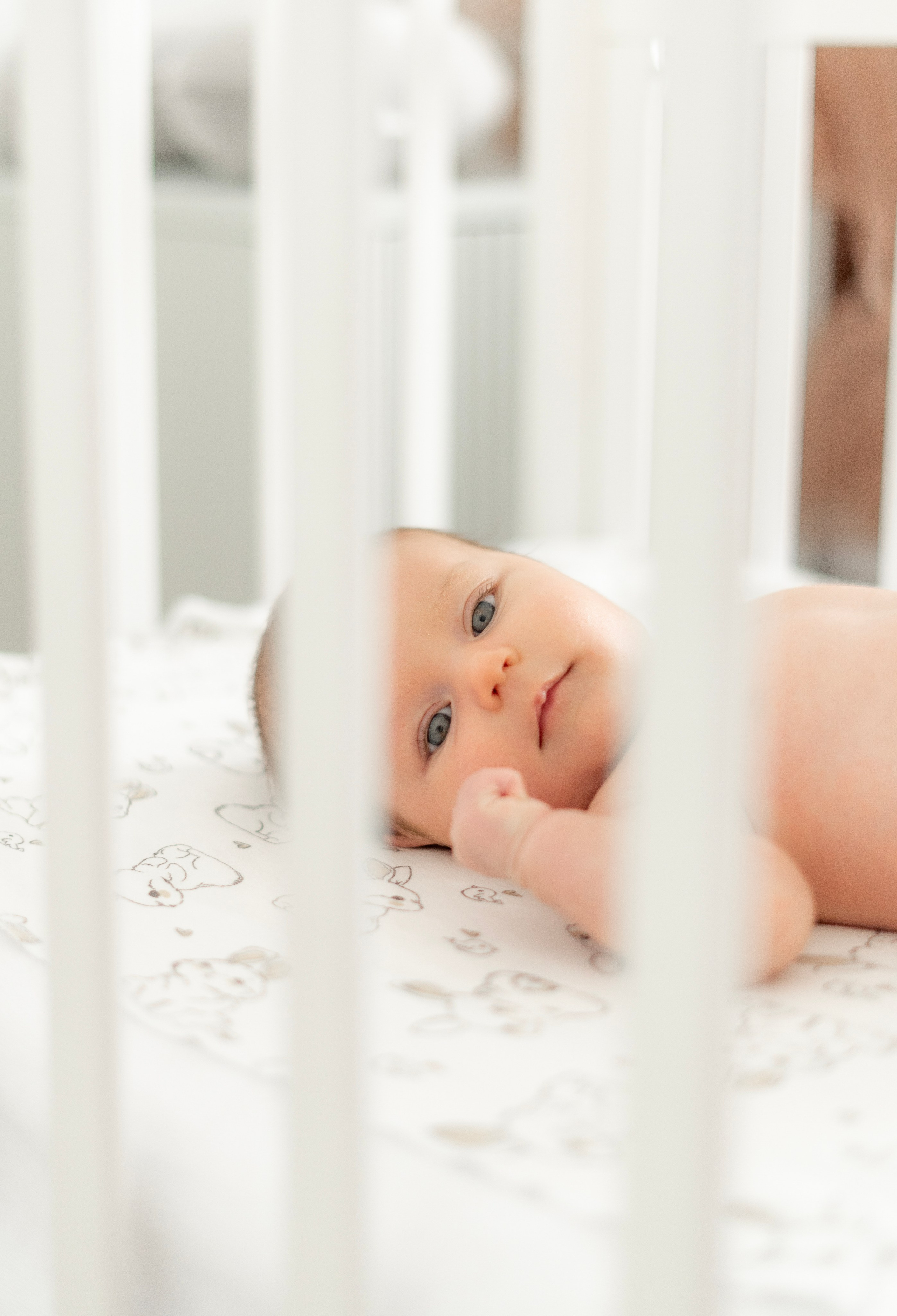 АНГЕЛОЧЕК МИЛАНОЧКА. Фотограф Москва Екатерина Бондаренко