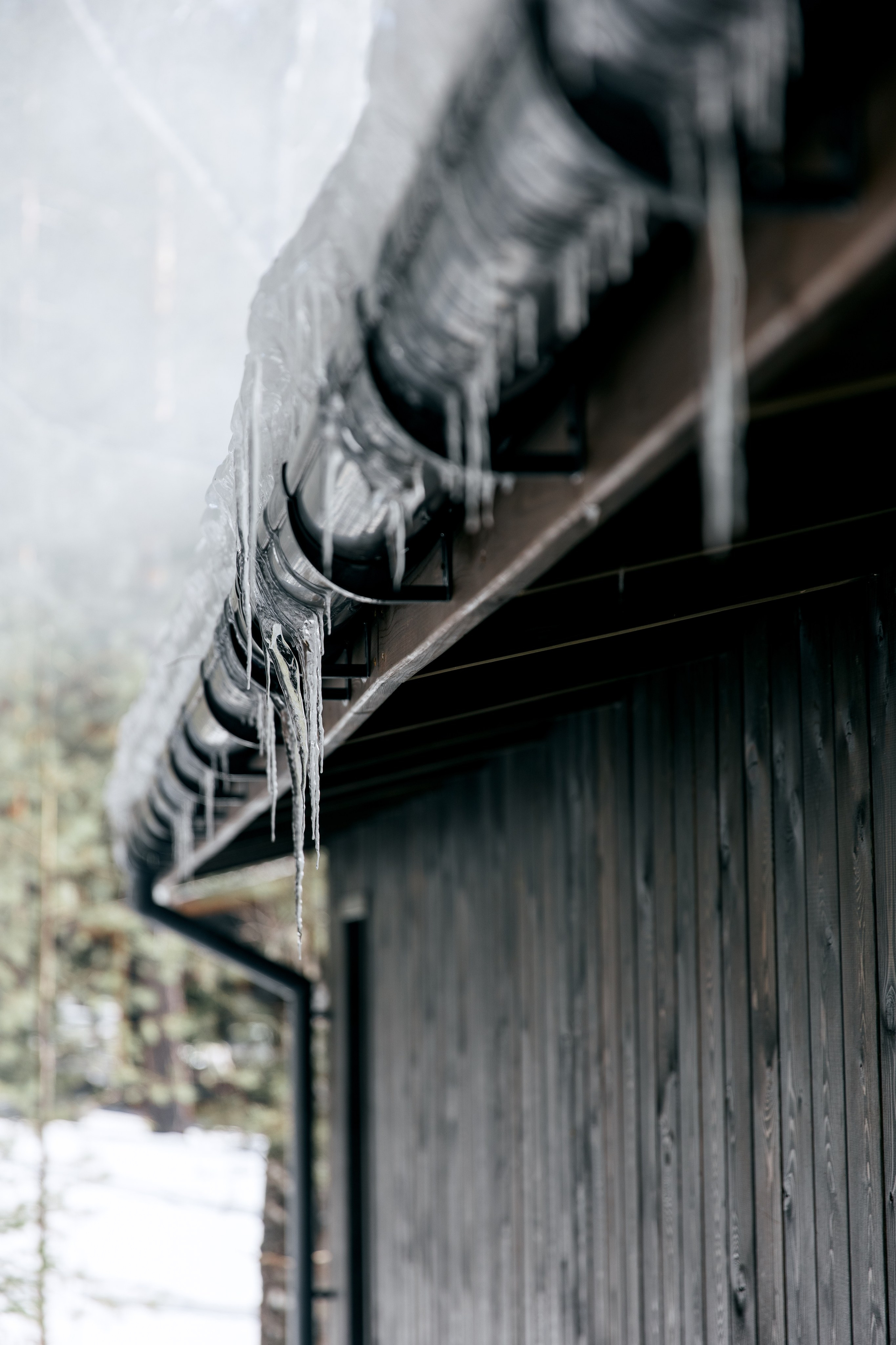 ДЕНЬ ДОЖДЕНИЯ ЕКАТЕРИНЫ. Фотограф в Красноярске